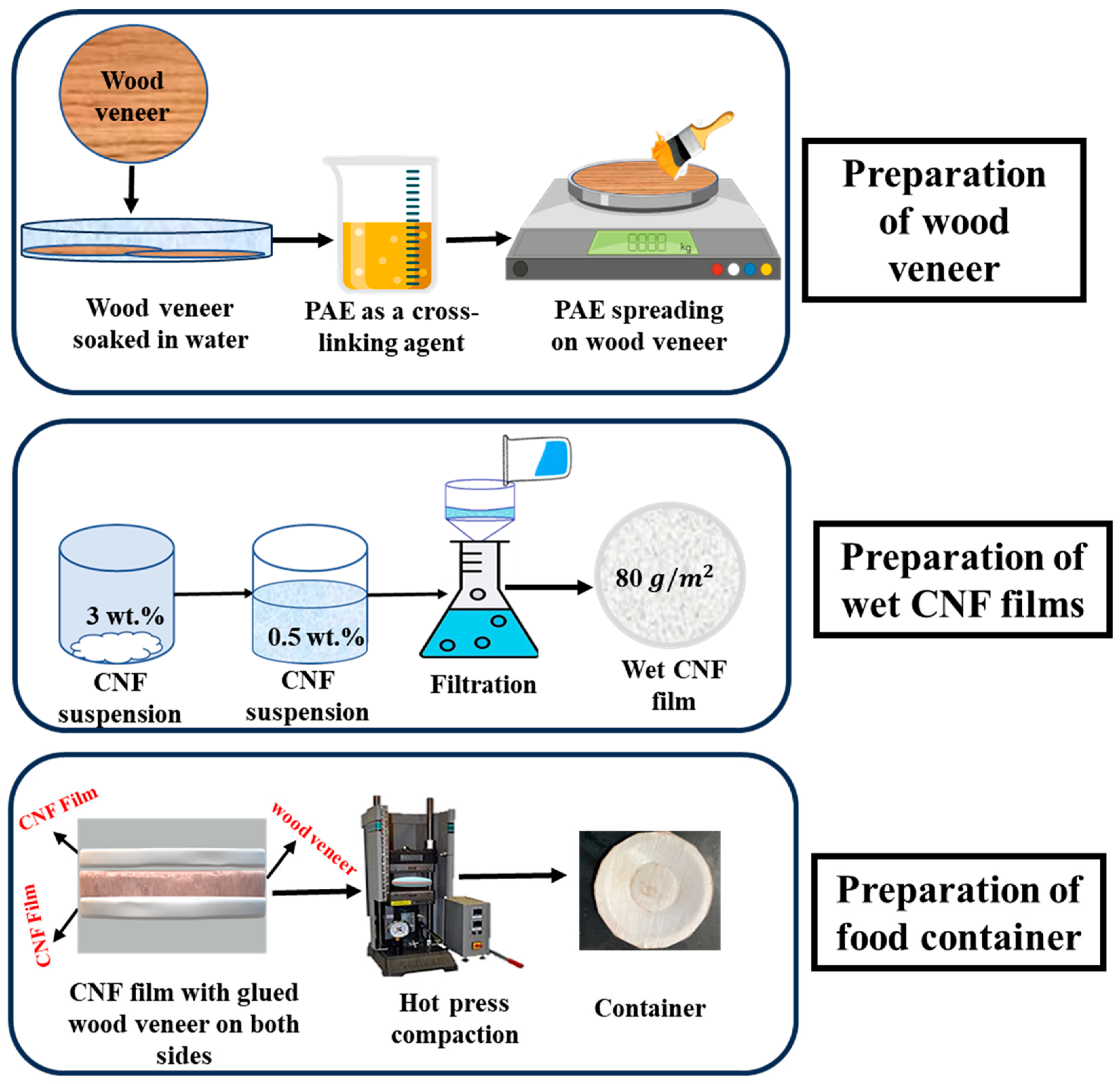 Polysaccharides 06 00028 g001