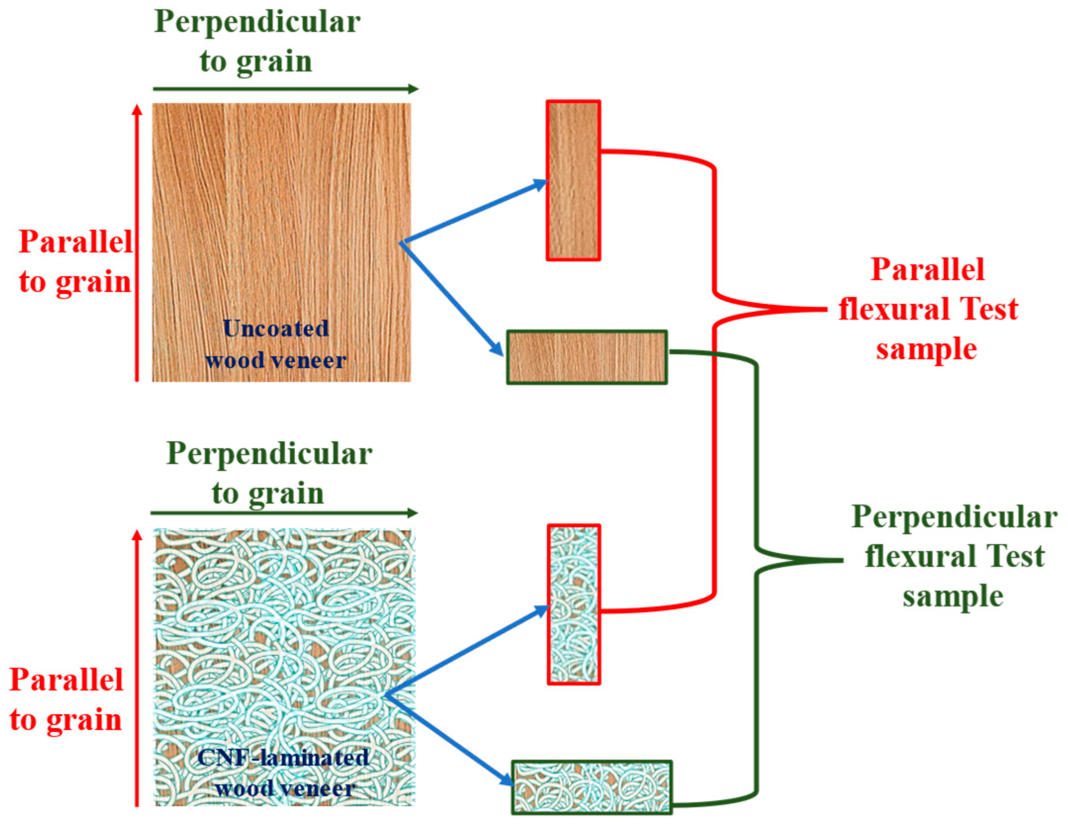Polysaccharides 06 00028 g002