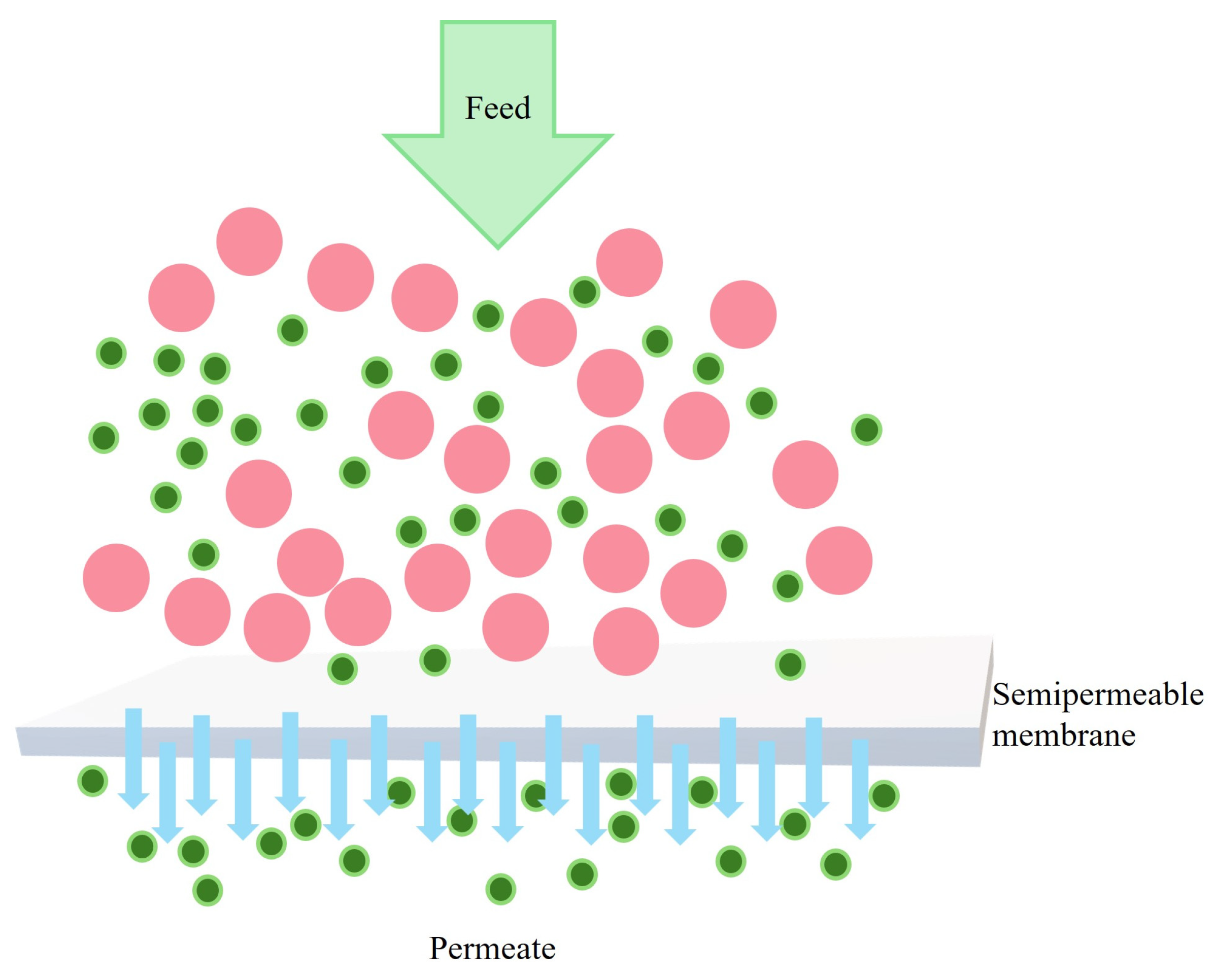 Polysaccharides 06 00031 g005