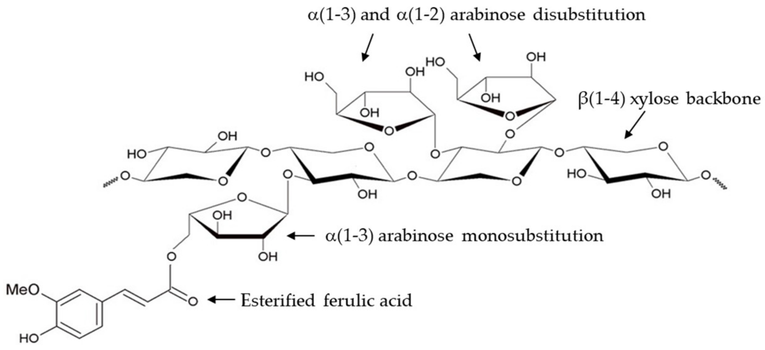 Polysaccharides 06 00032 g001