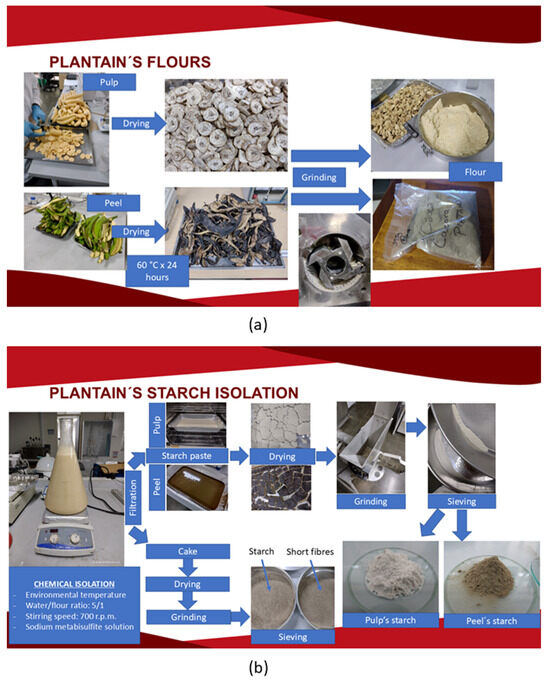 Extraction and Characterization of Starches from the Pulp and Peel of ...