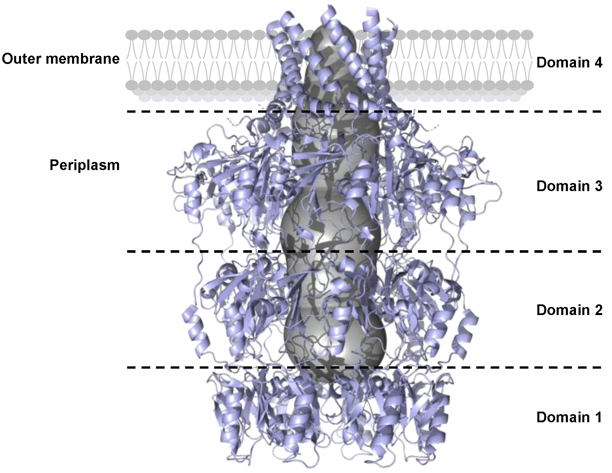 Polysaccharides 06 00038 g007