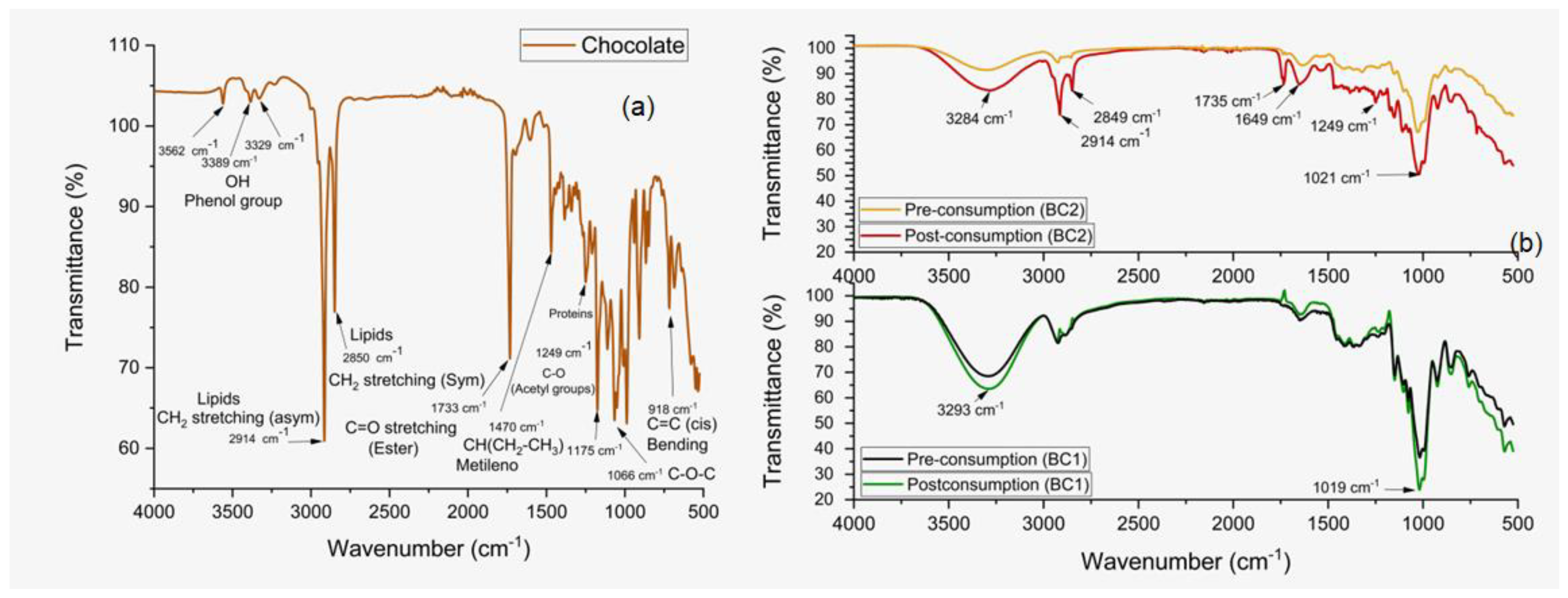 Polysaccharides 06 00041 g005 Polysaccharides 06 00041 g005