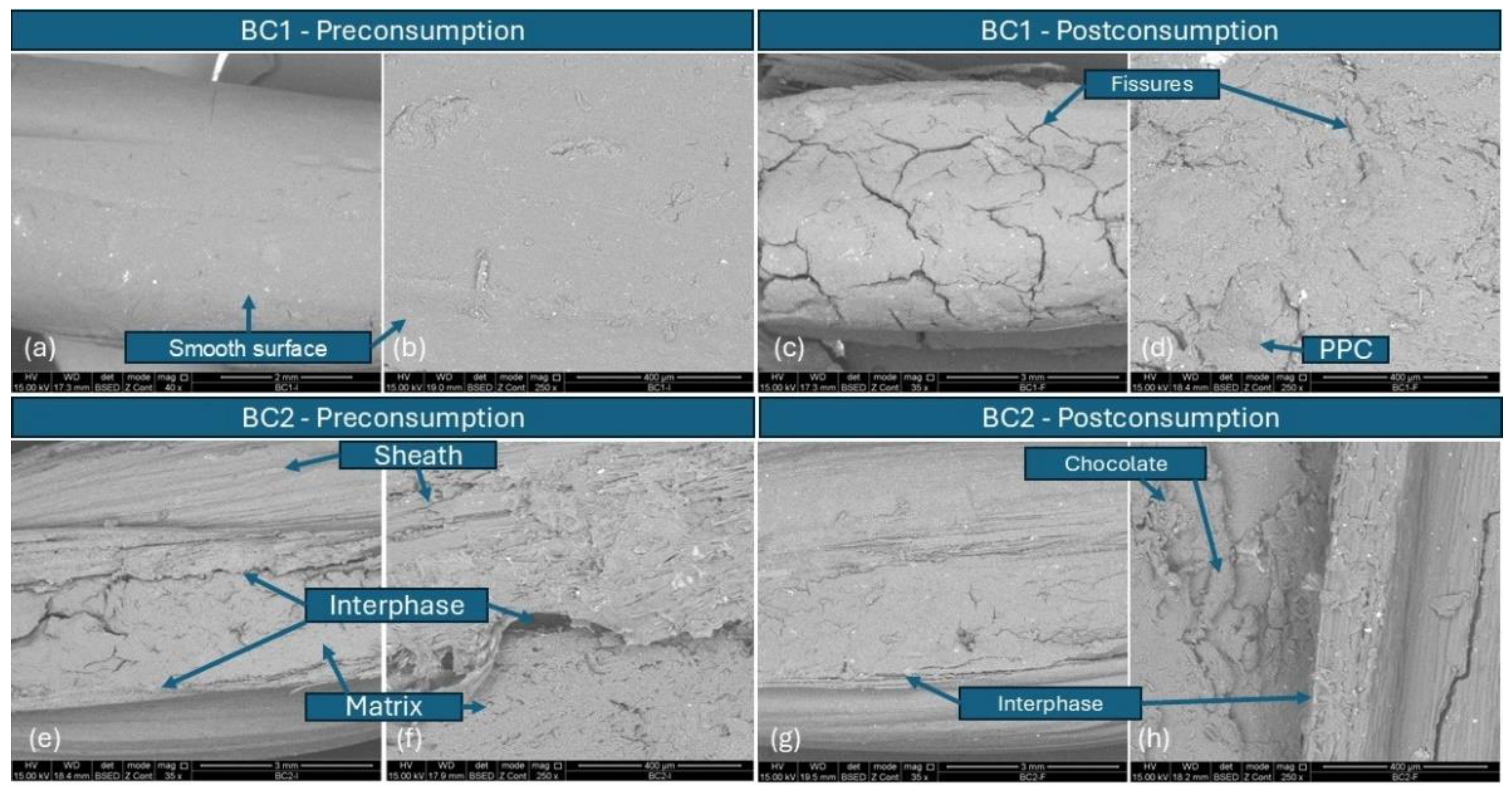 Polysaccharides 06 00041 g008 Polysaccharides 06 00041 g008