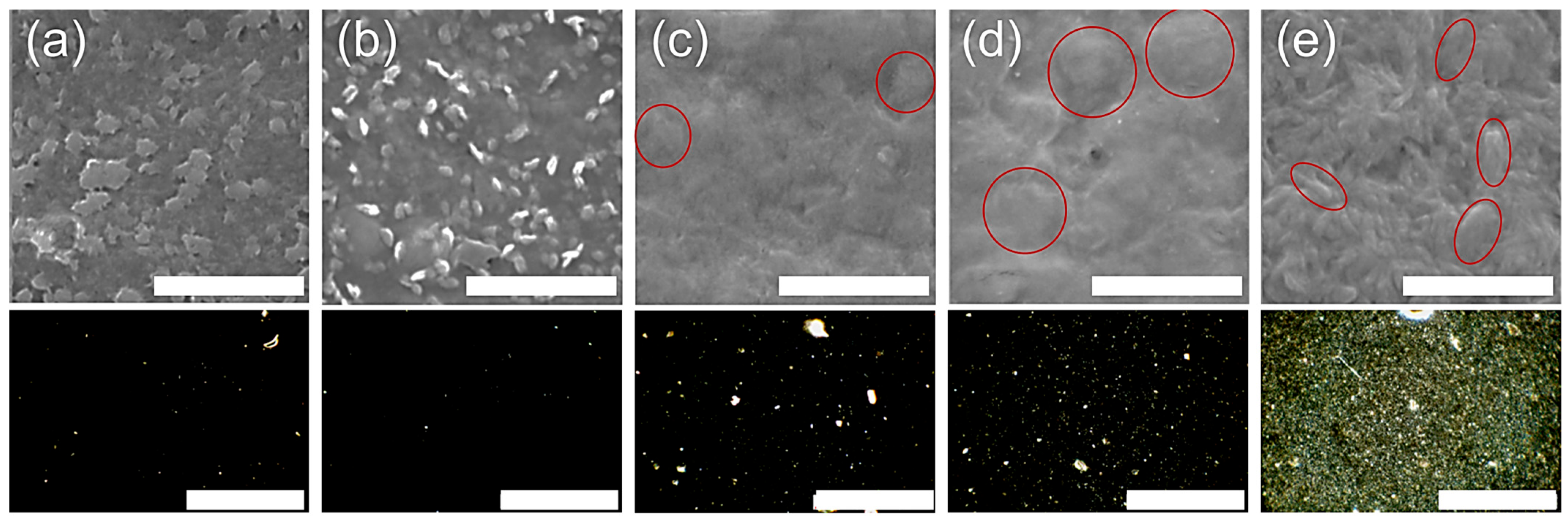 Polysaccharides 06 00043 g003