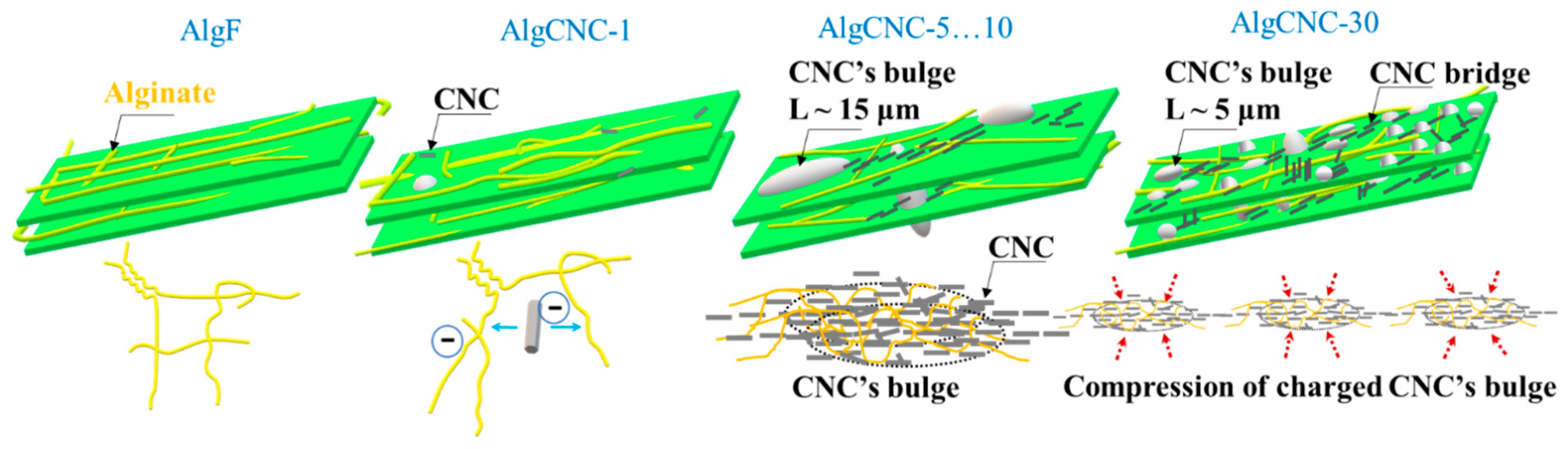 Polysaccharides 06 00043 g012