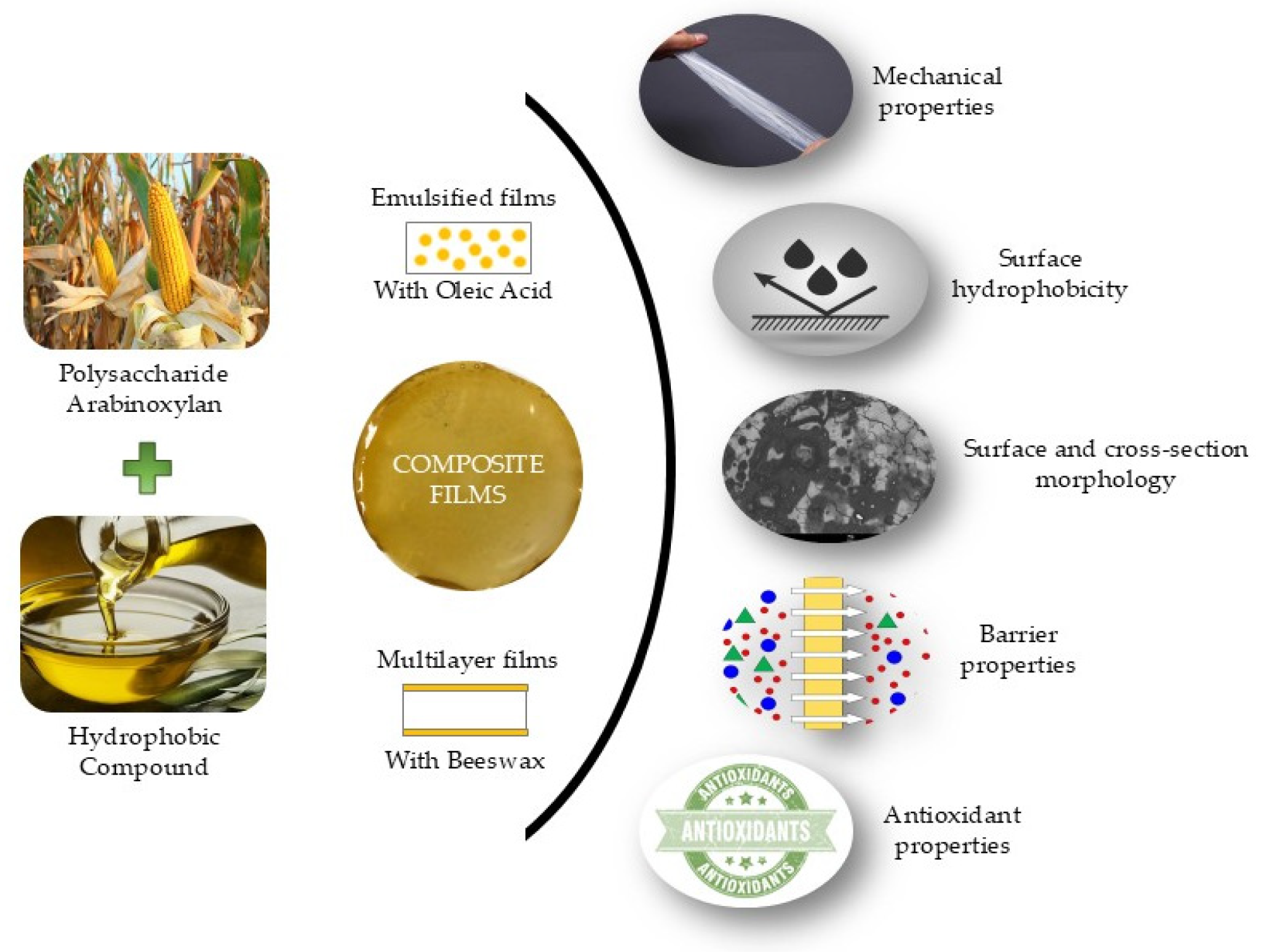 Polysaccharides 06 00048 g001