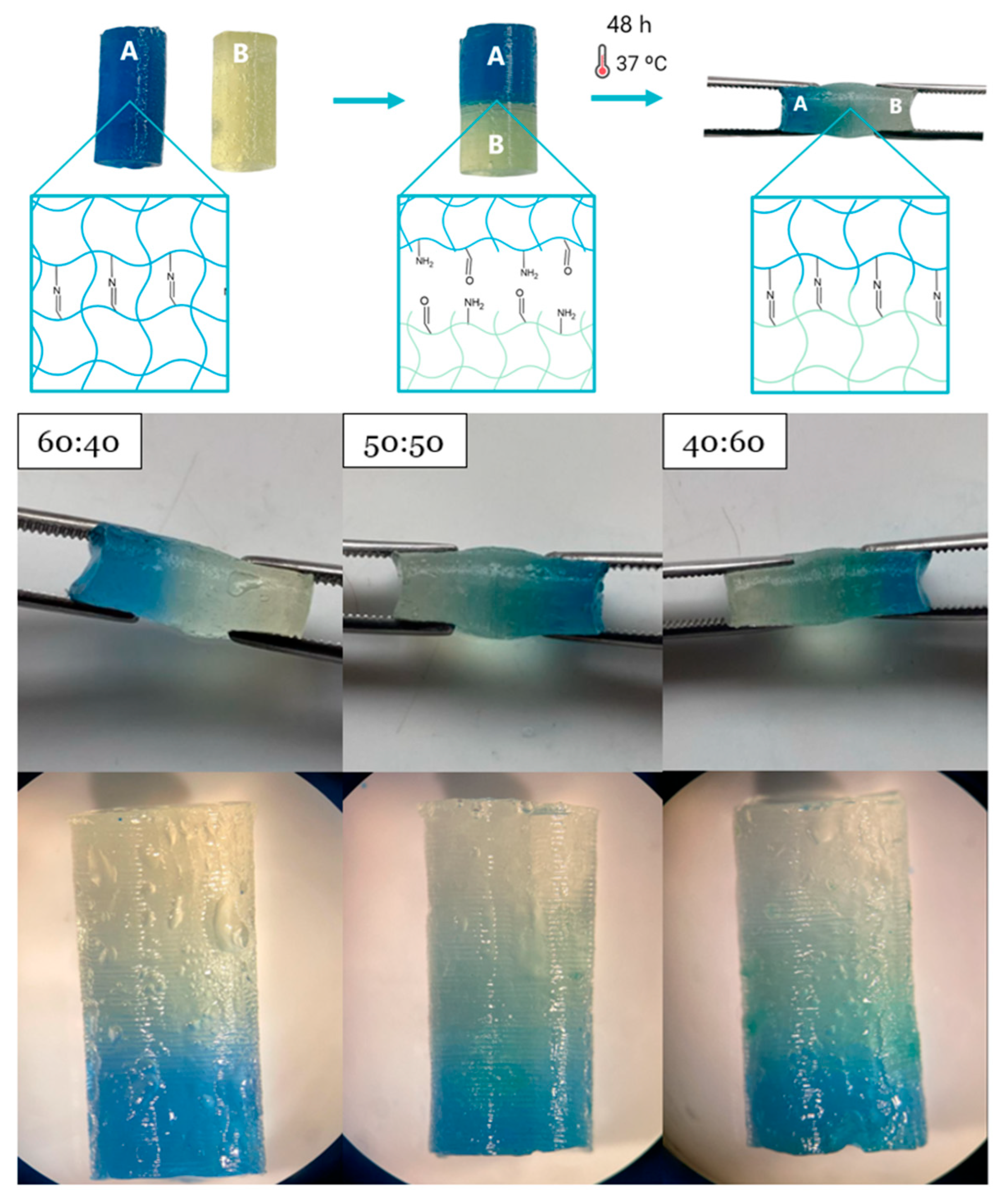 Polysaccharides 06 00049 g007