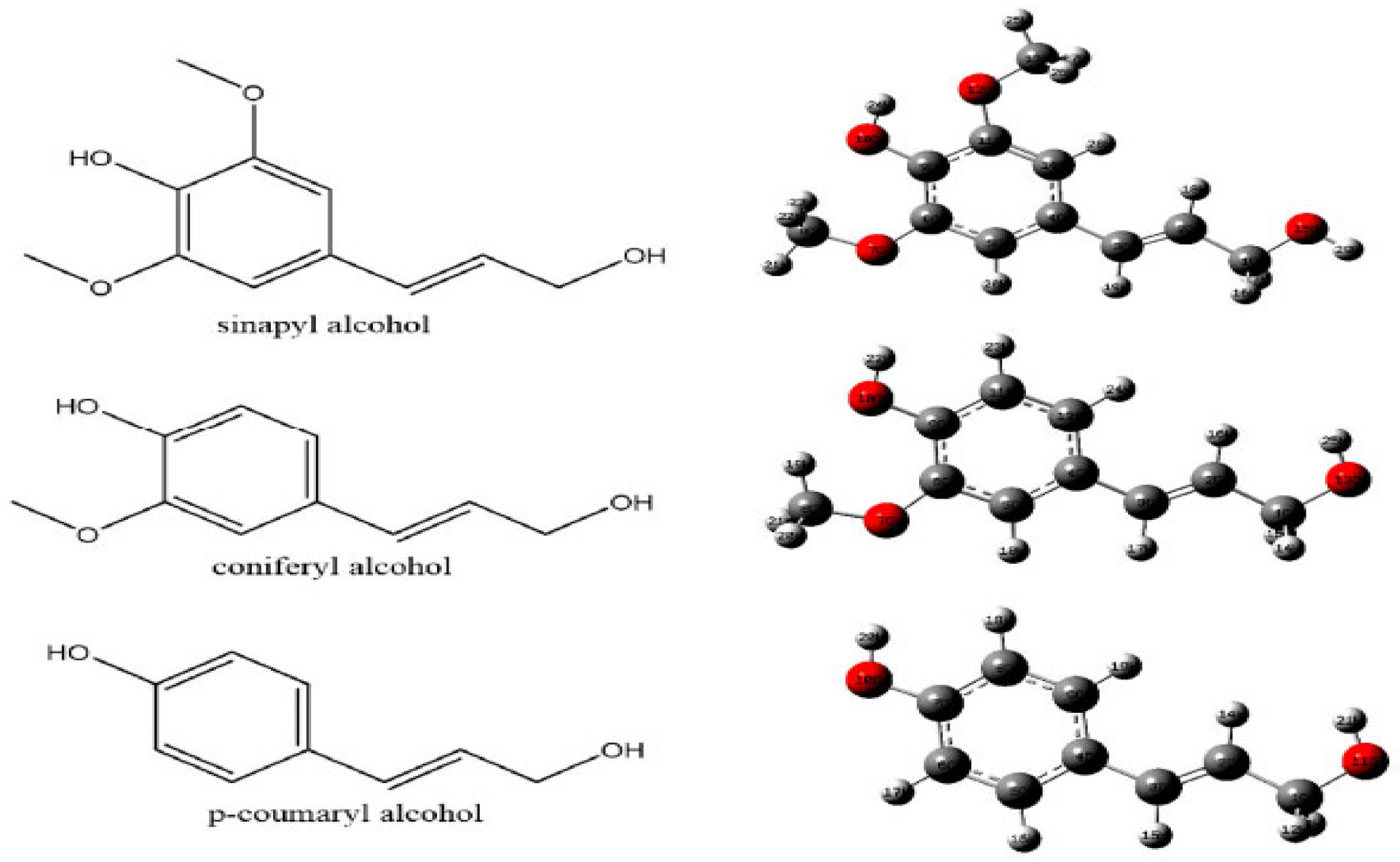 Polysaccharides 06 00053 g003
