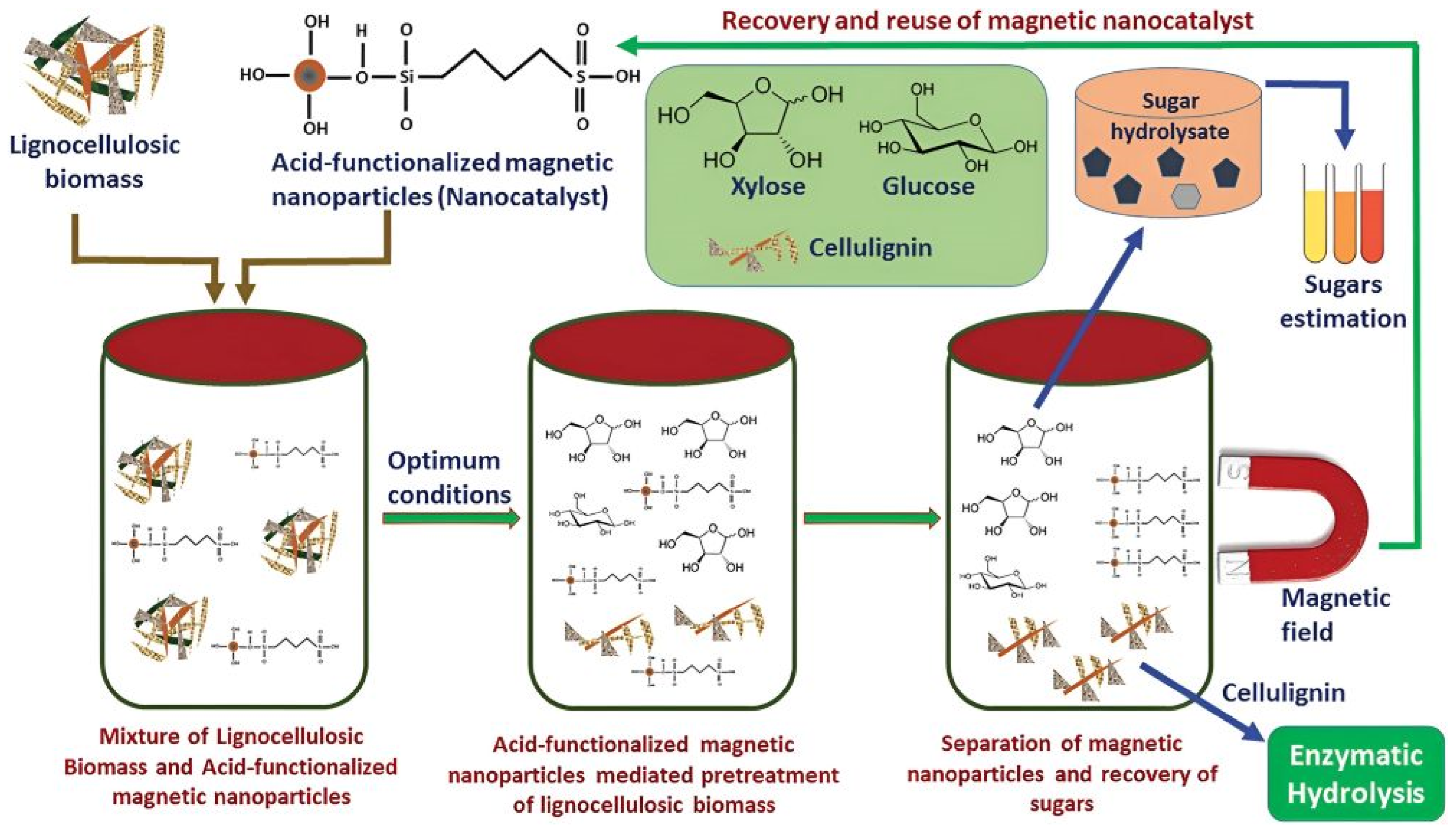 Polysaccharides 06 00053 g006
