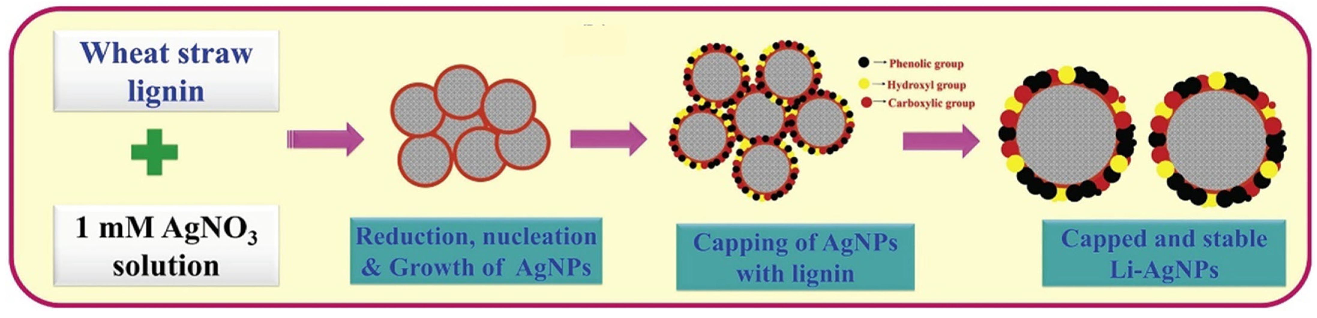 Polysaccharides 06 00053 g007