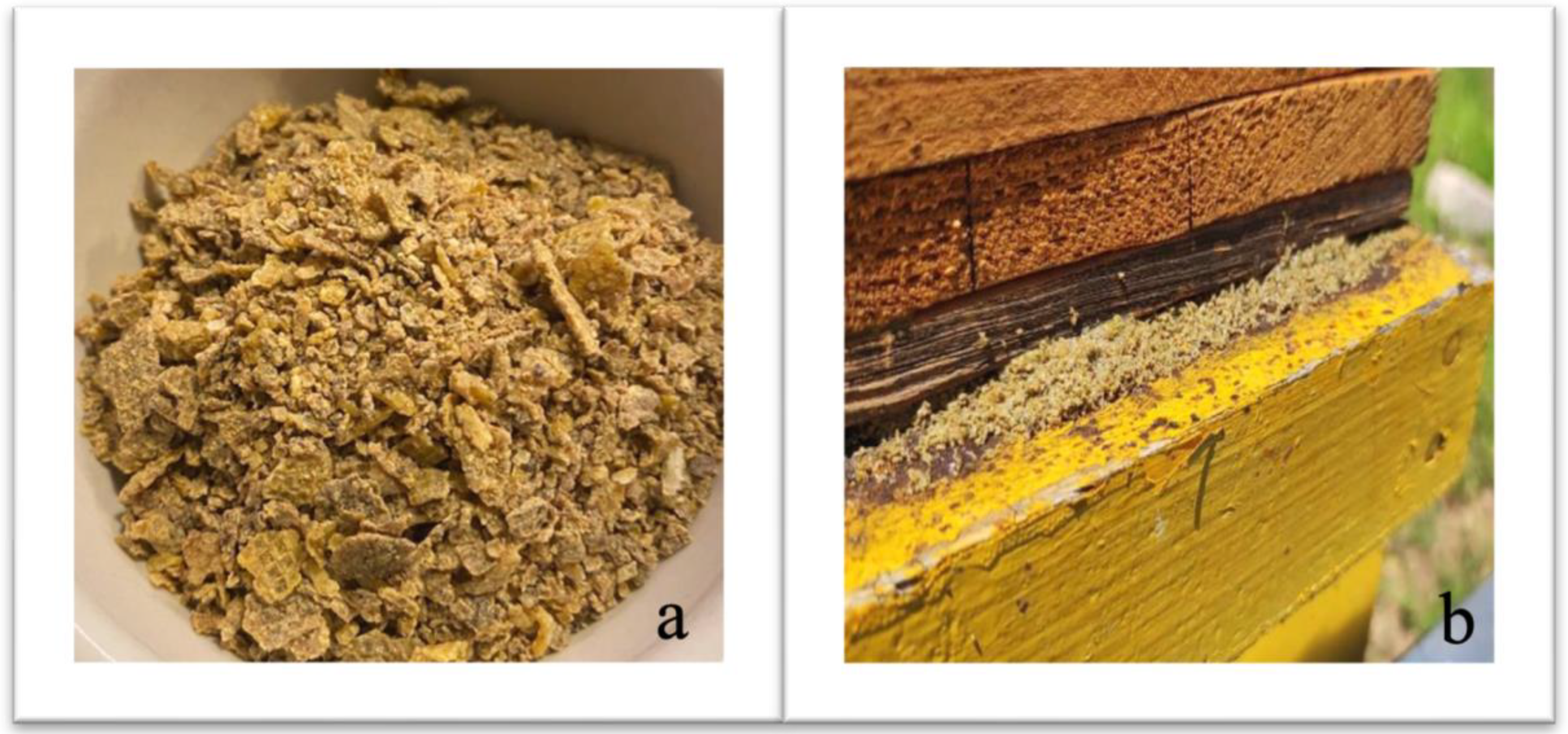 Polysaccharides 06 00074 g001 Polysaccharides 06 00074 g001