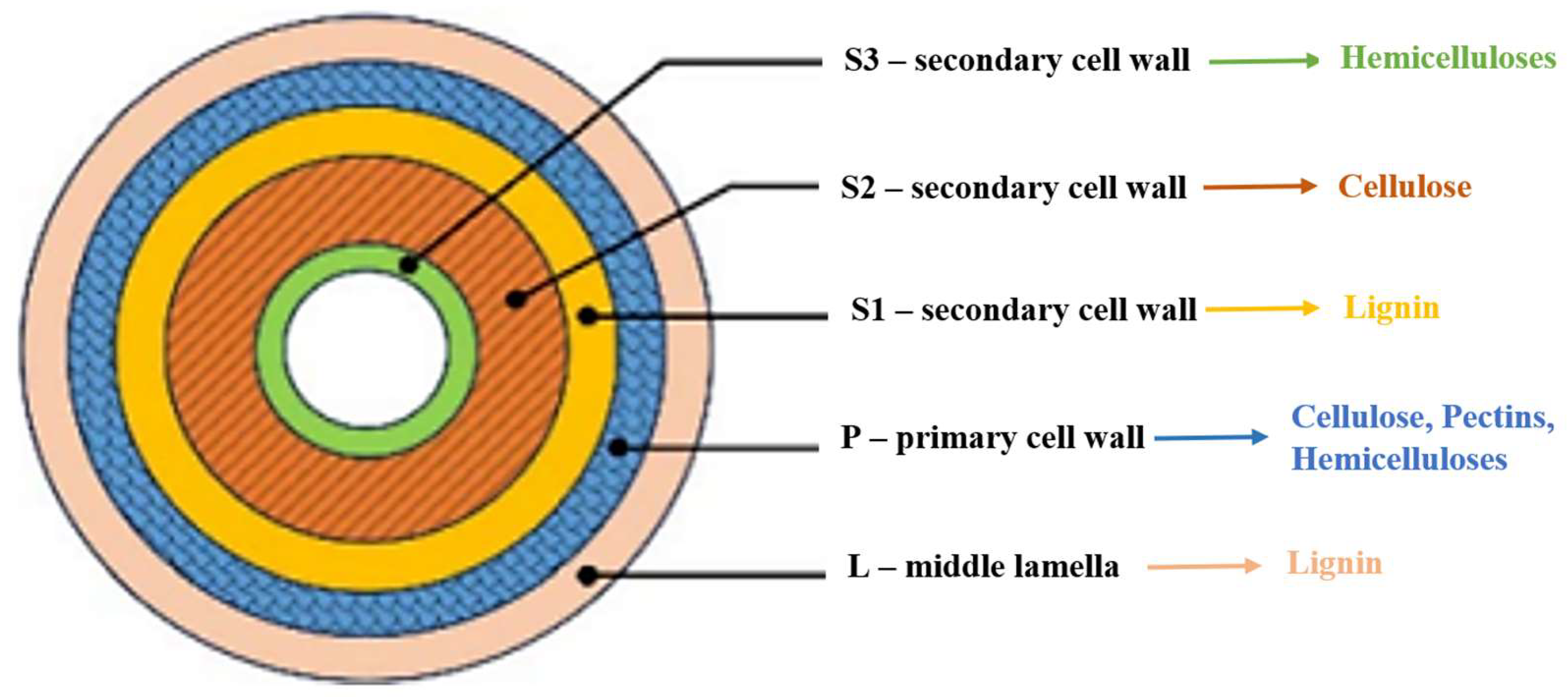 Polysaccharides 06 00085 g001