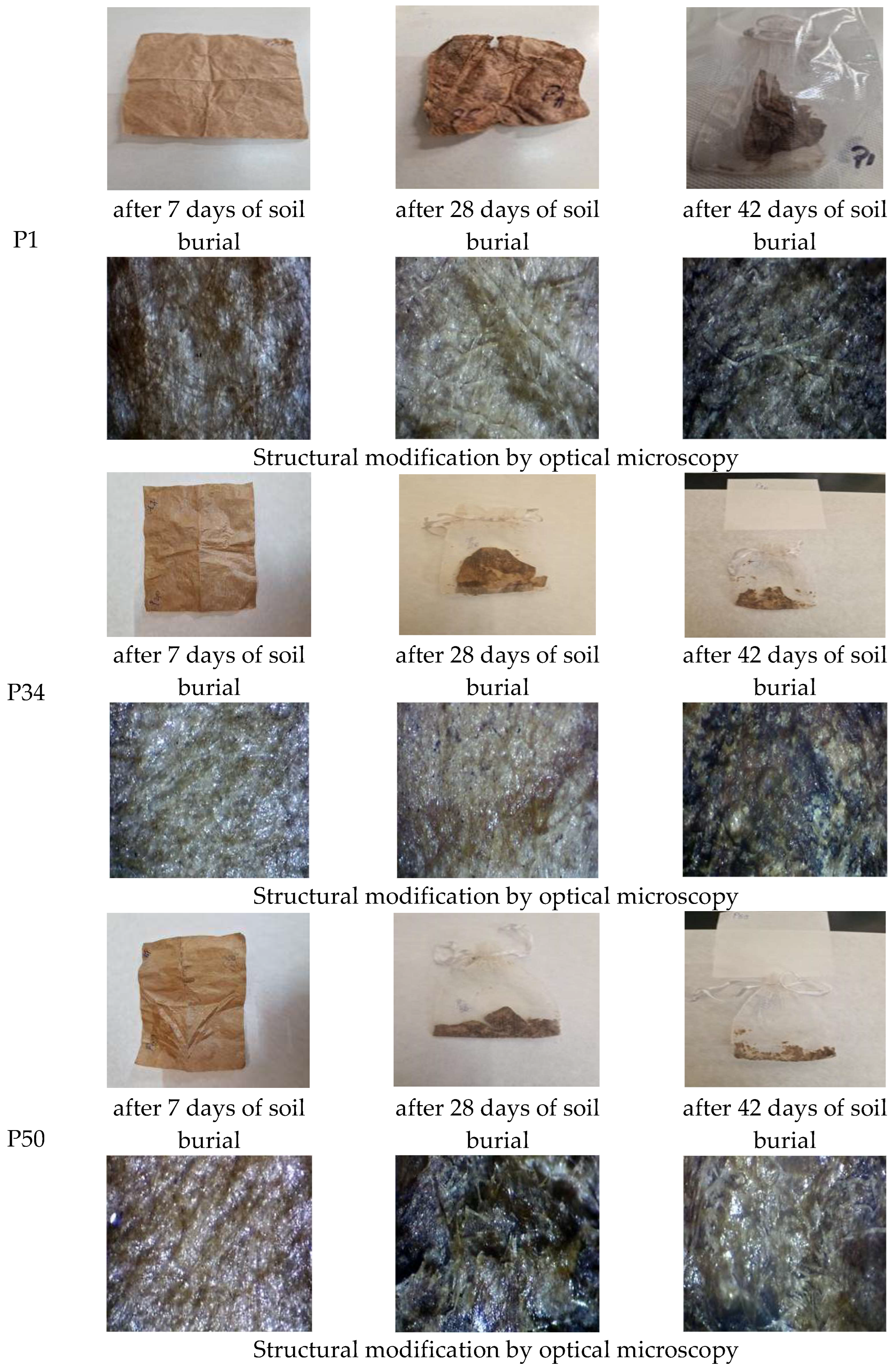 Polysaccharides 06 00085 g010b