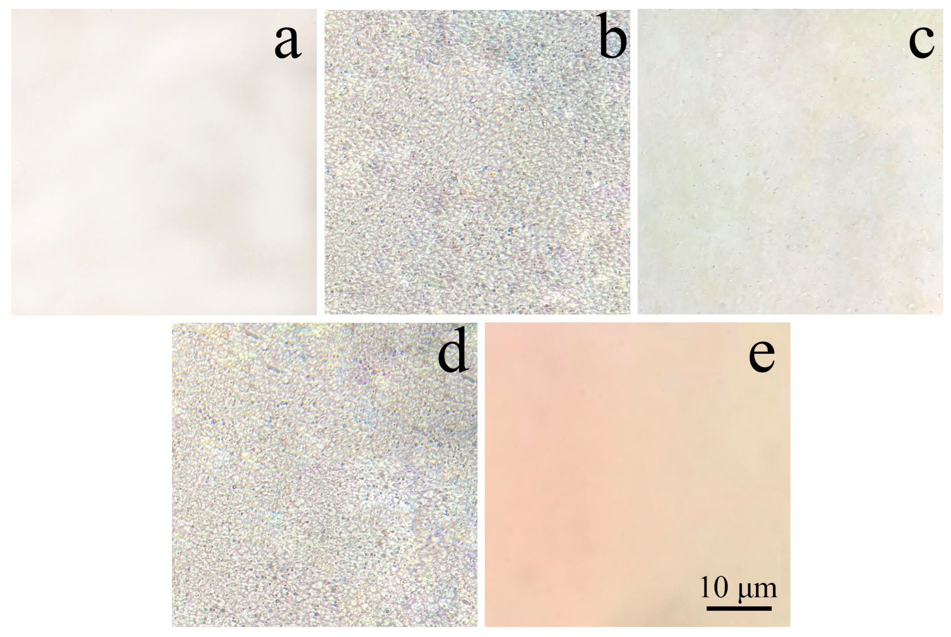Polysaccharides 06 00088 g001