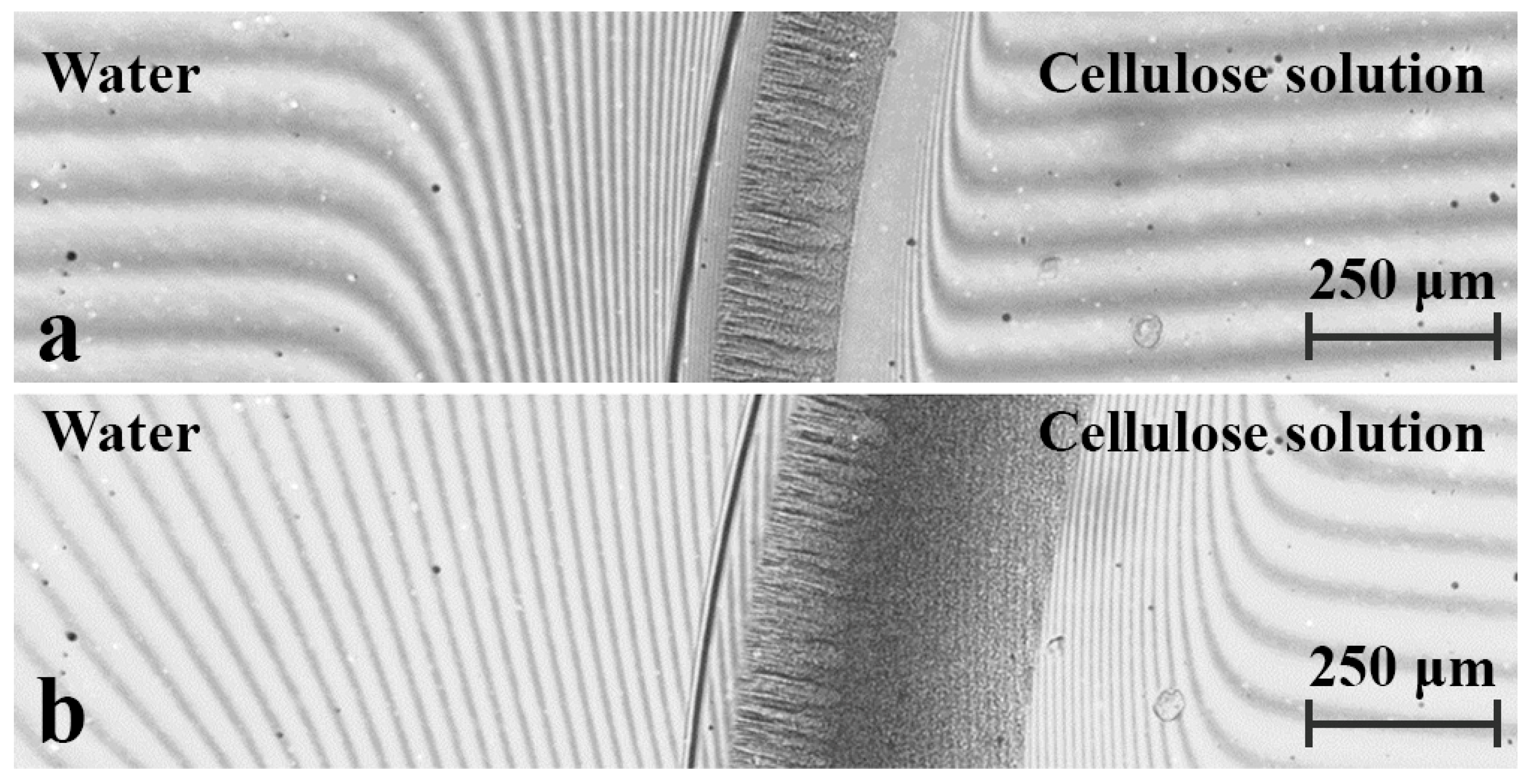 Polysaccharides 06 00088 g006