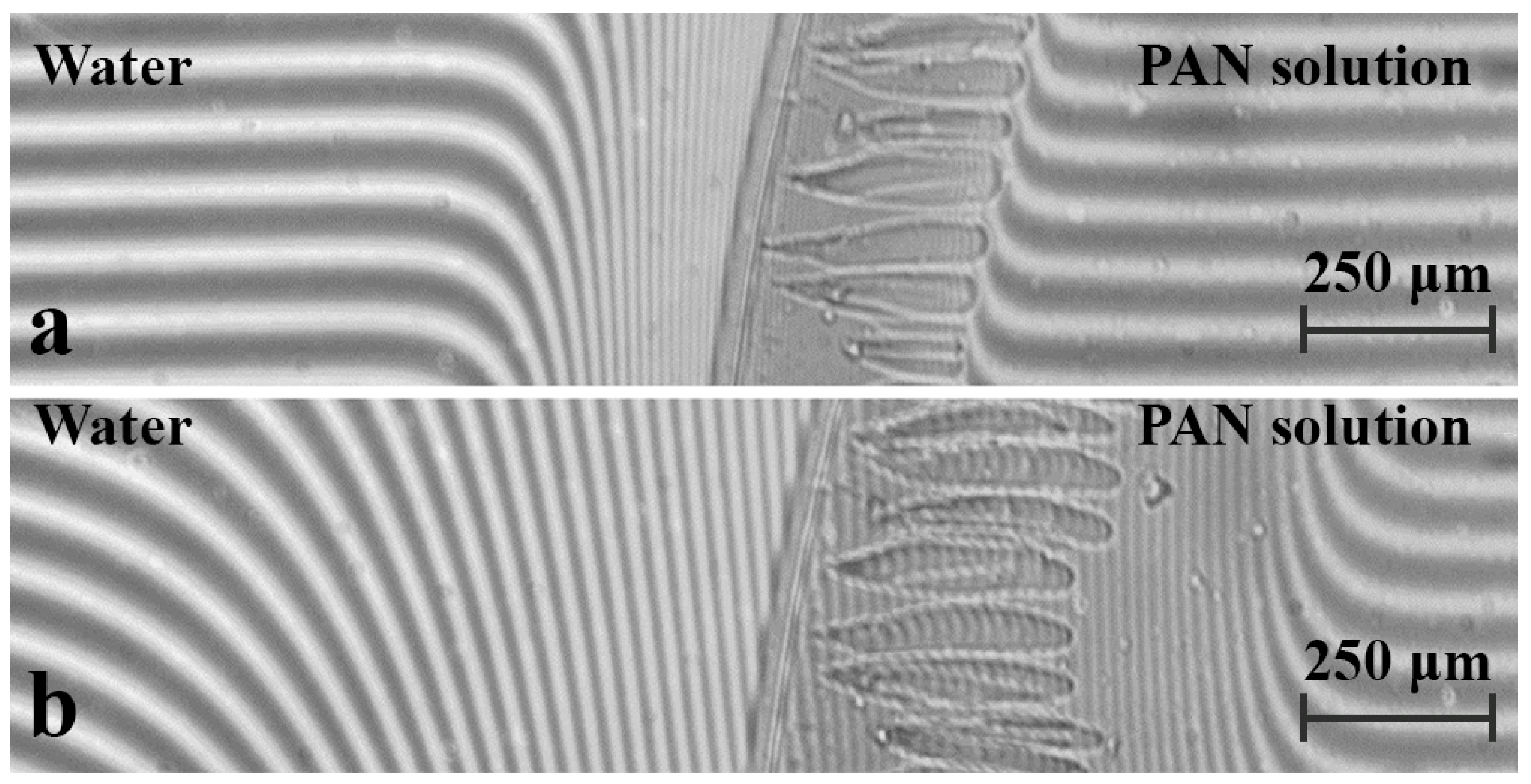 Polysaccharides 06 00088 g007