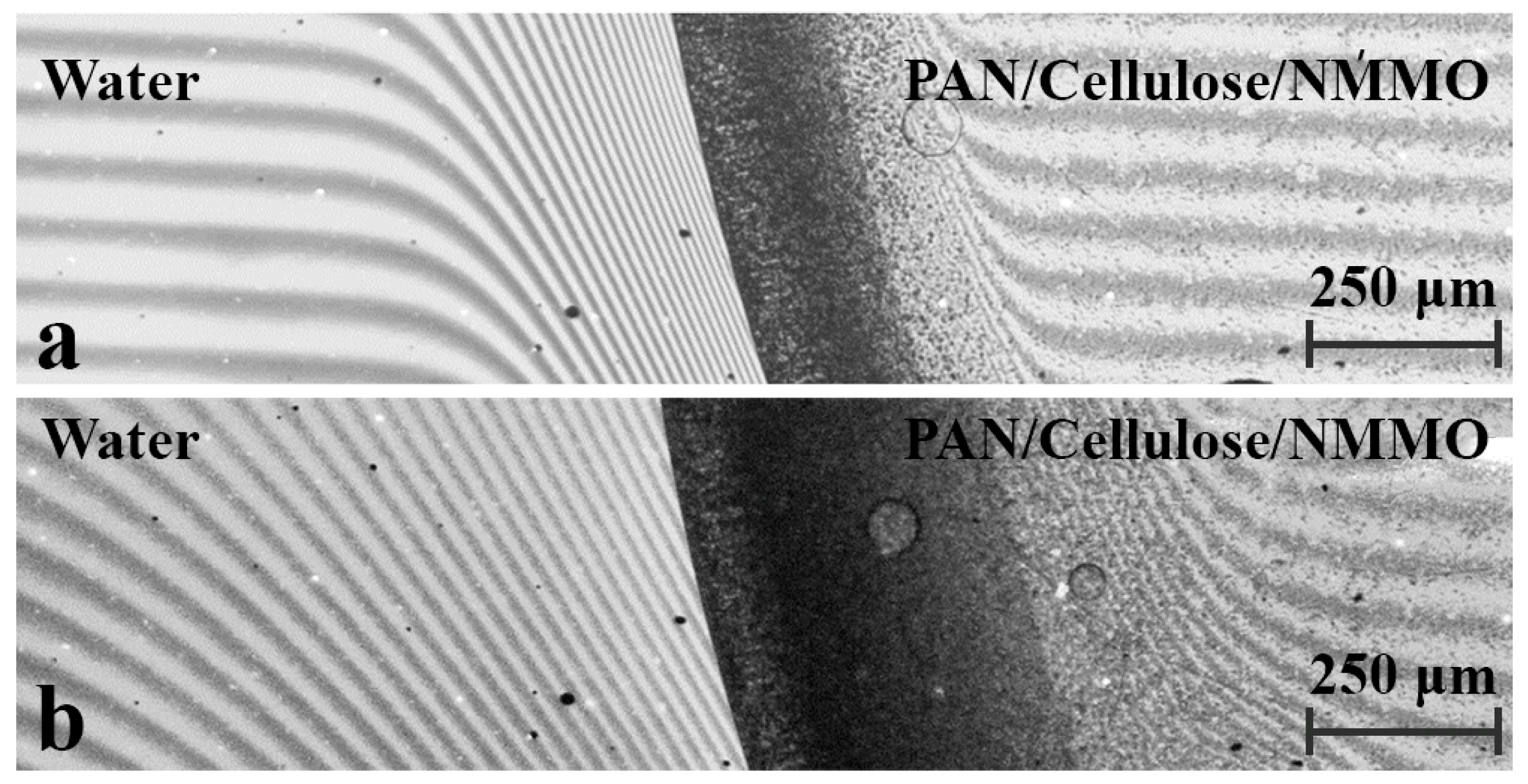 Polysaccharides 06 00088 g008