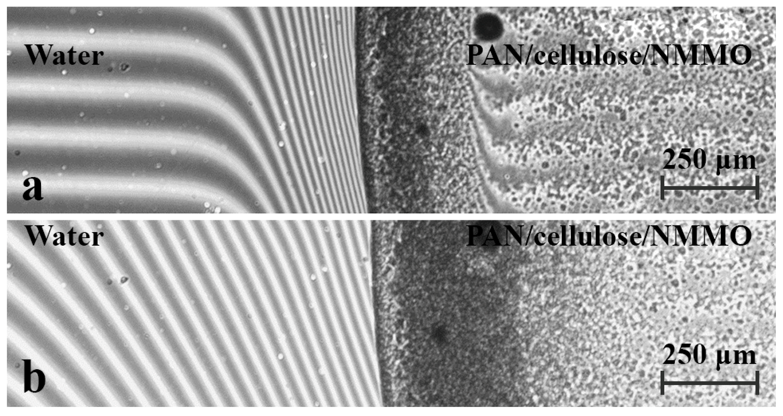 Polysaccharides 06 00088 g010