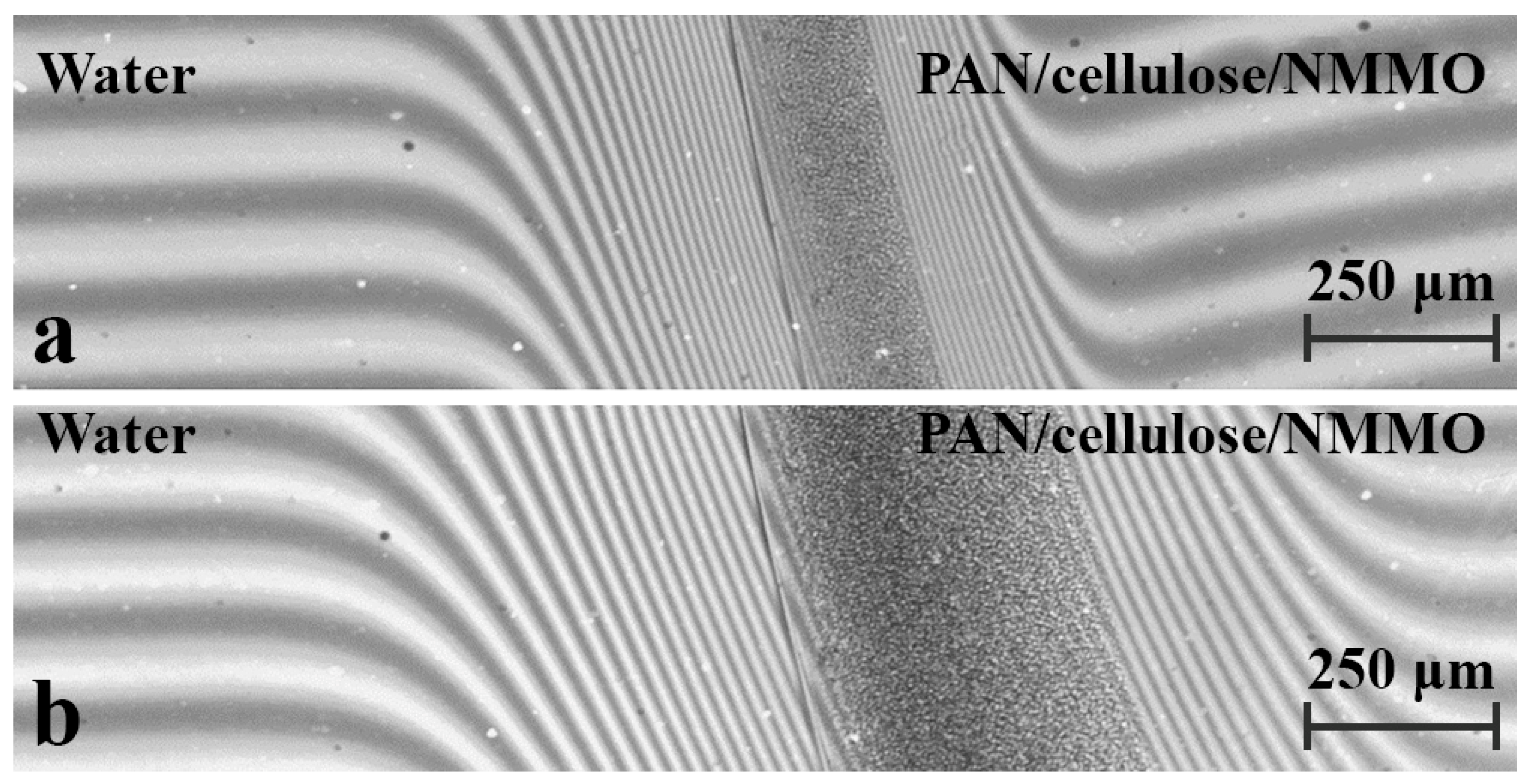 Polysaccharides 06 00088 g011