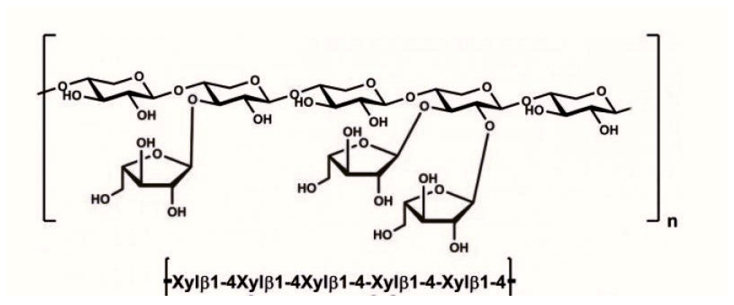 Polysaccharides 06 00094 g001 Polysaccharides 06 00094 g001