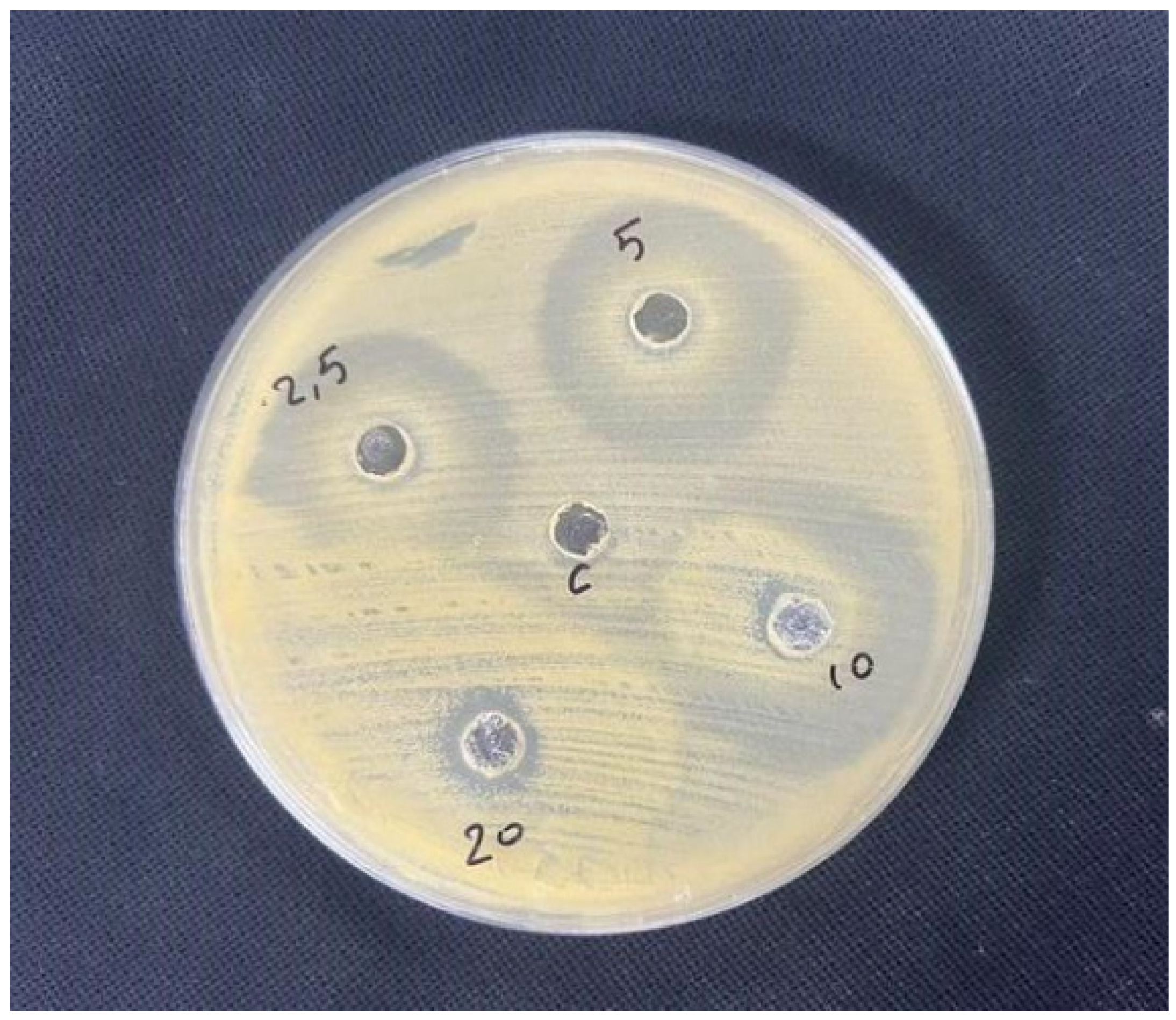 Polysaccharides 06 00102 g001