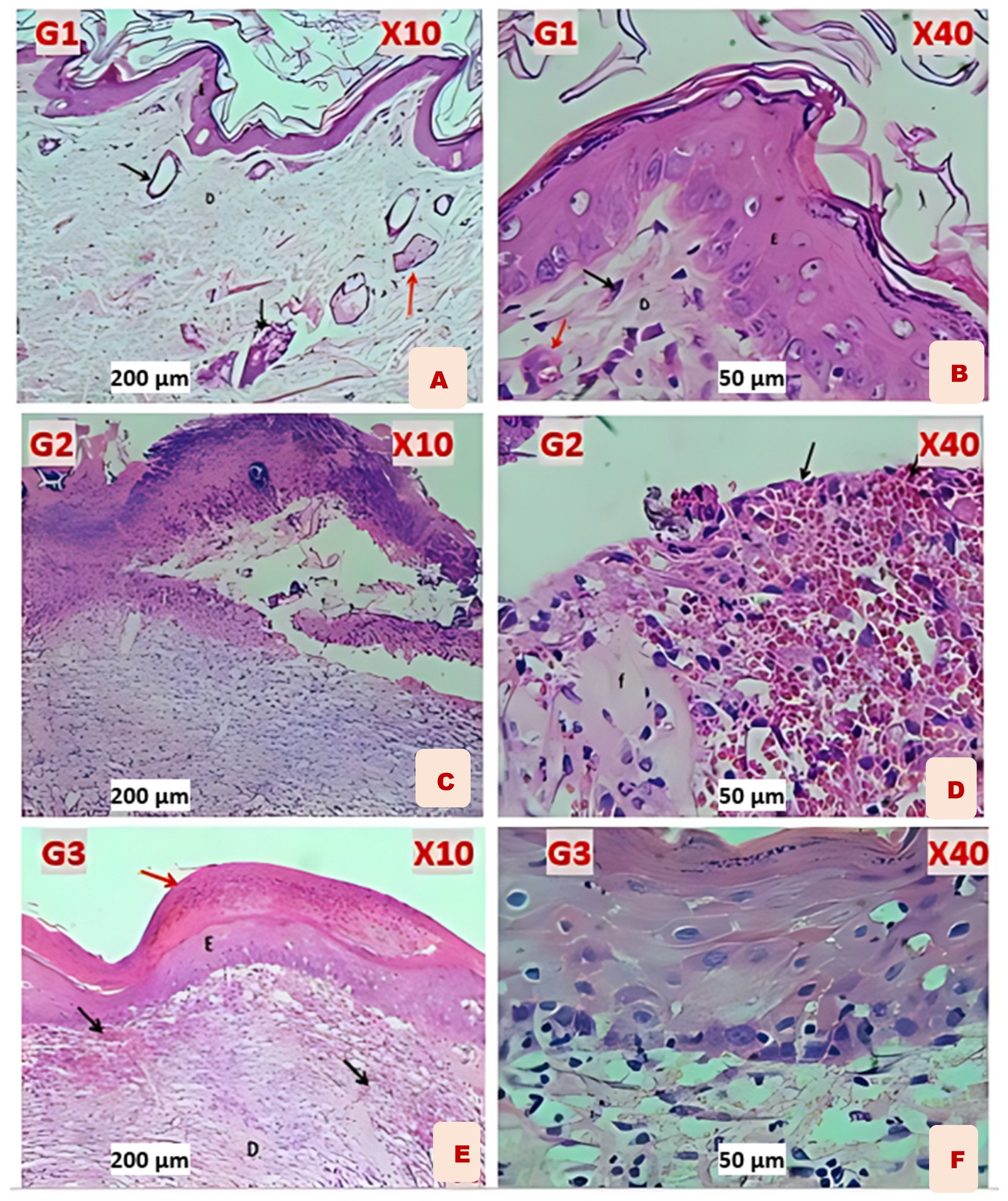 Polysaccharides 06 00102 g007