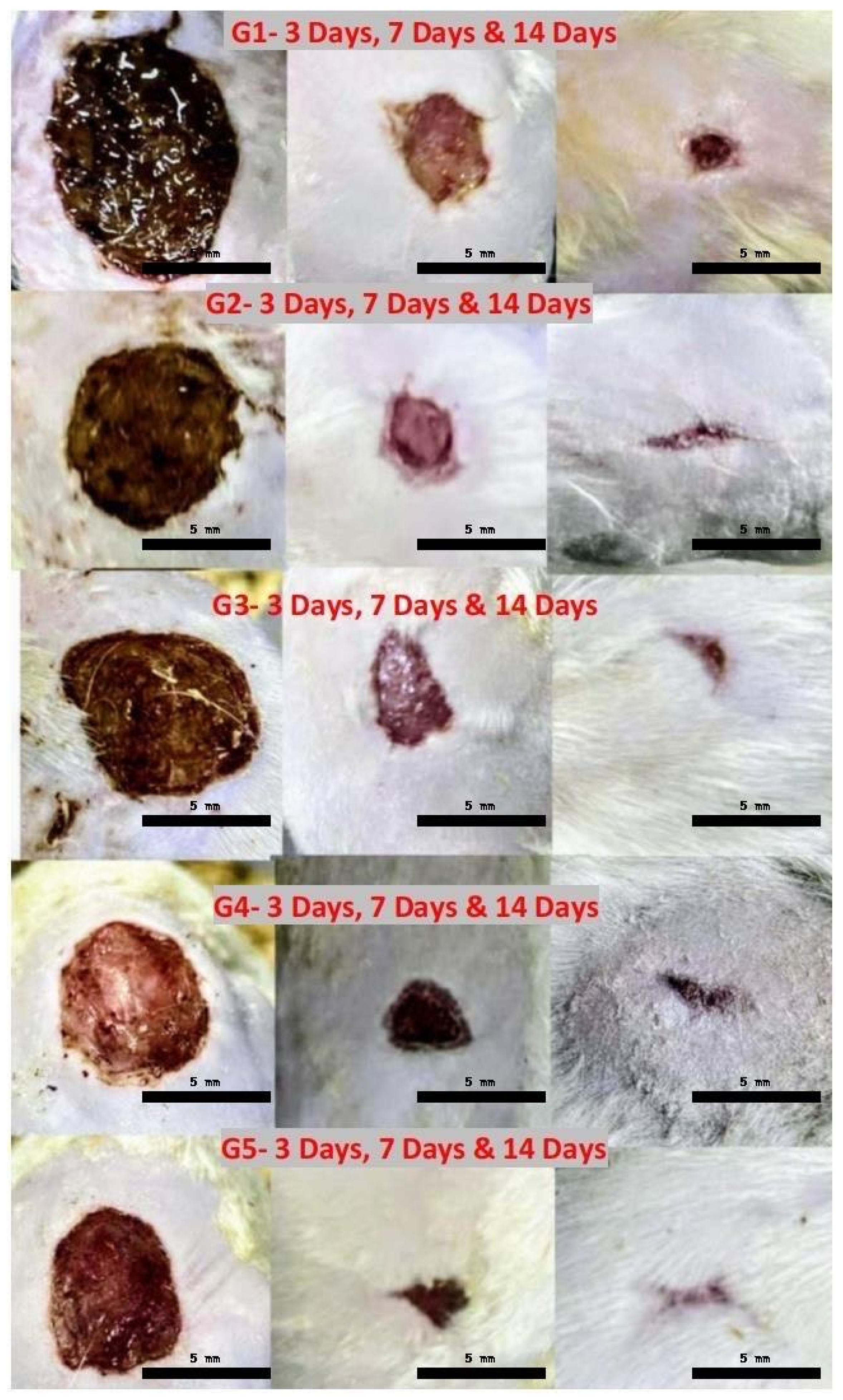 Polysaccharides 06 00102 g009