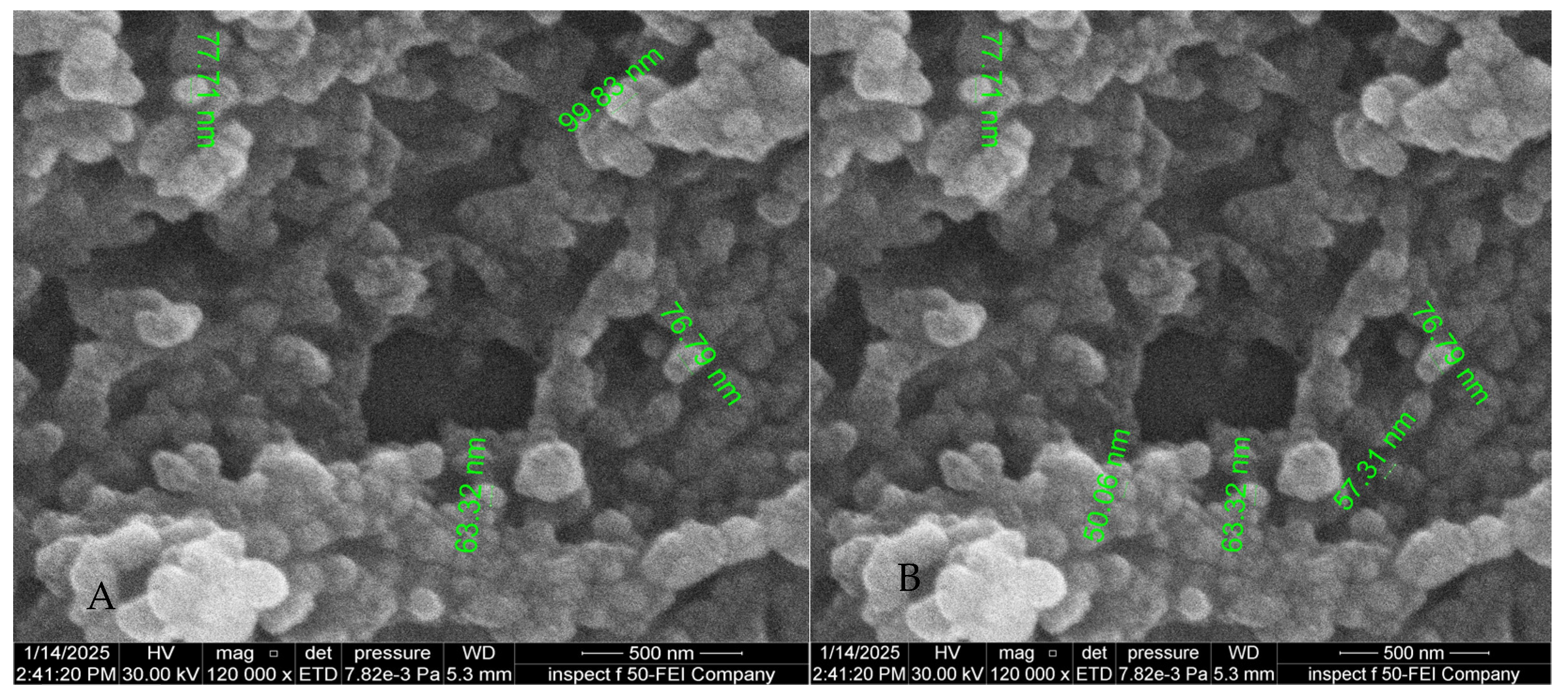 Polysaccharides 06 00102 g011