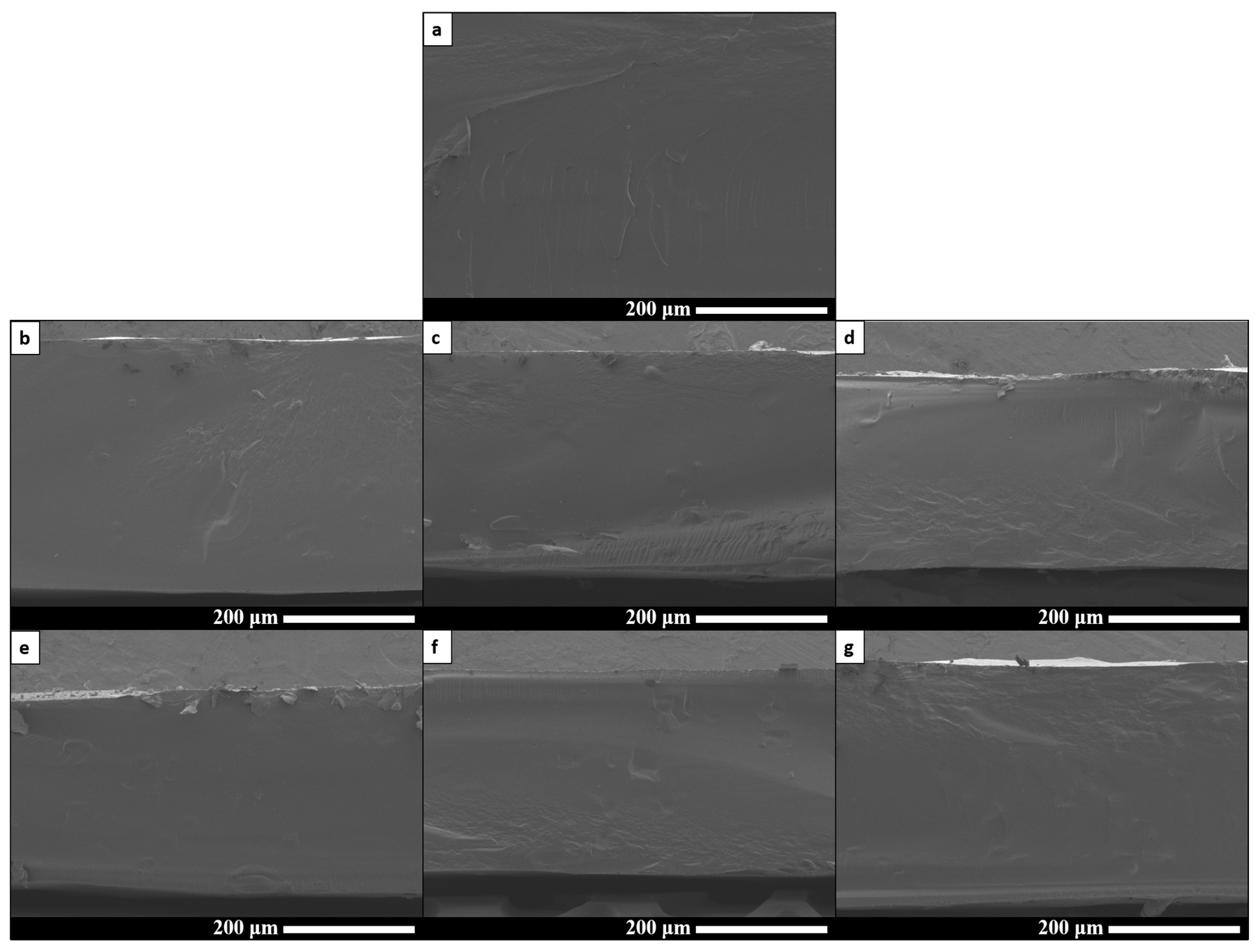 Polysaccharides 06 00103 g006