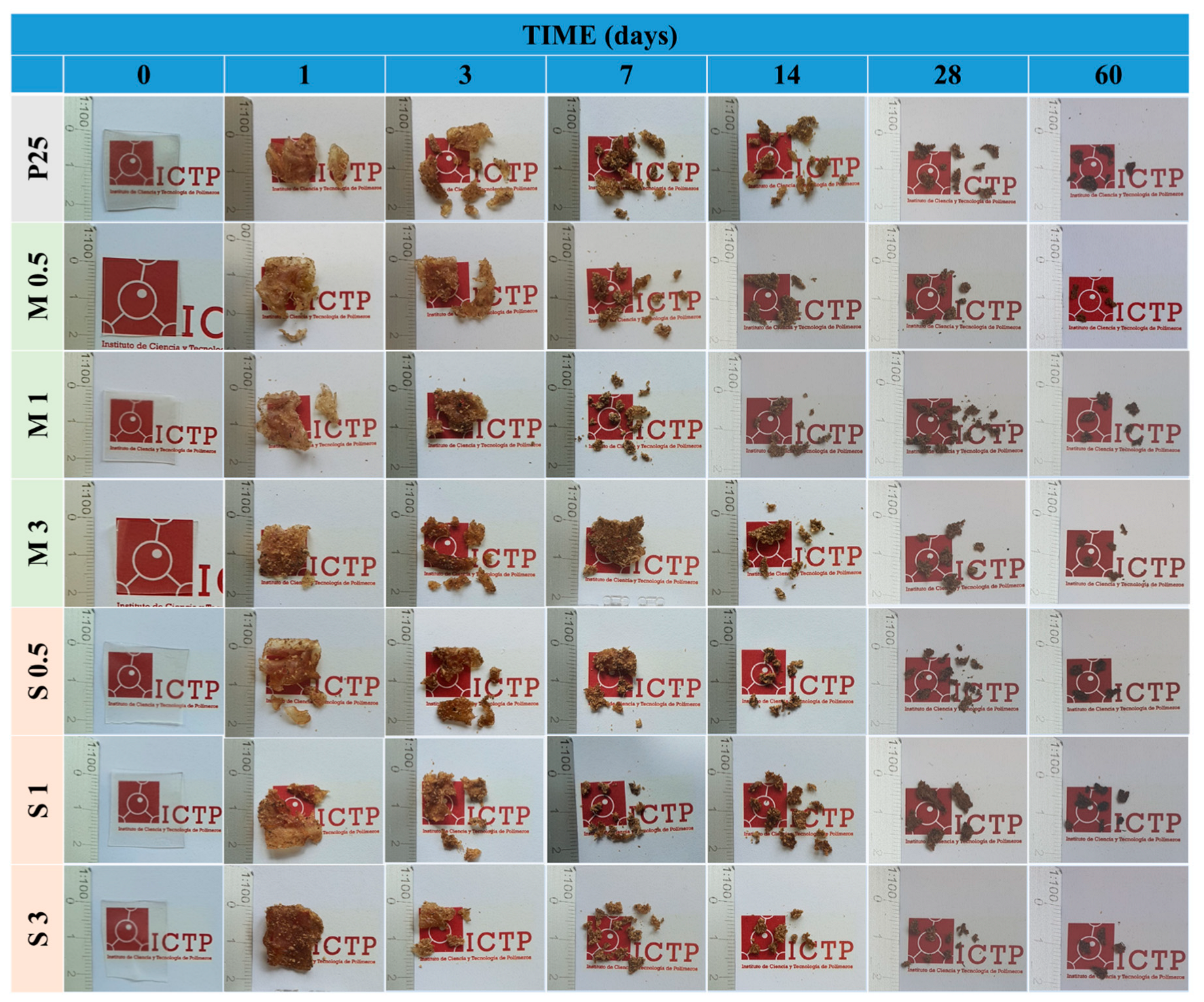 Polysaccharides 06 00103 g011