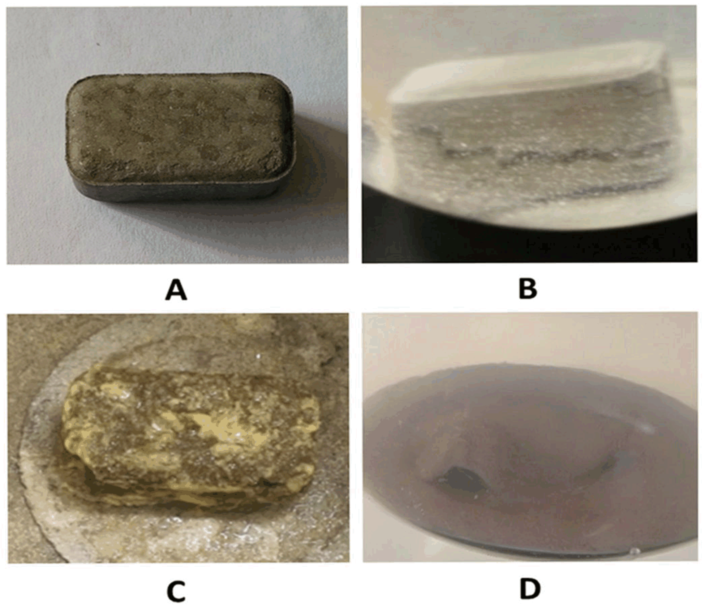 Polysaccharides 06 00104 g011