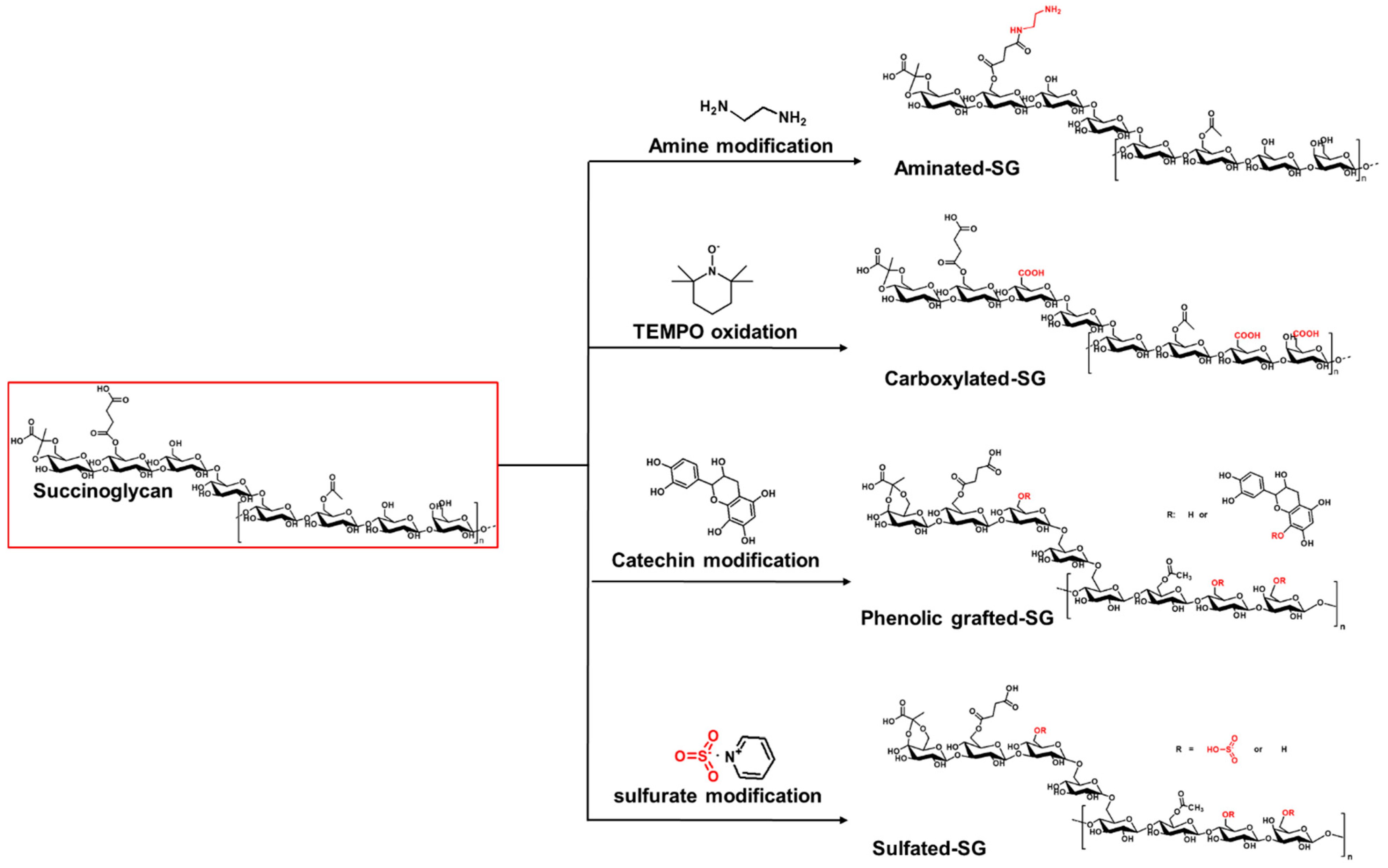 Polysaccharides 06 00106 g005