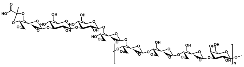 Polysaccharides 06 00106 i014