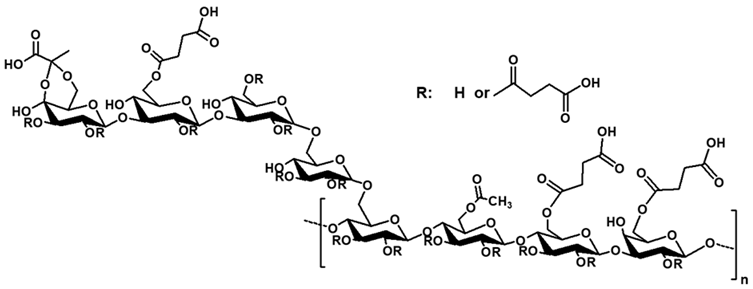 Polysaccharides 06 00106 i017