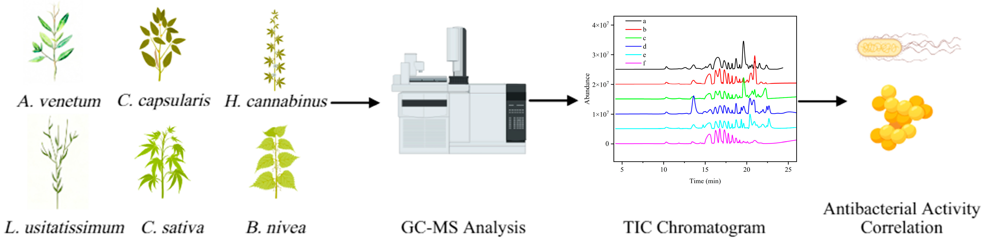 Polysaccharides 06 00107 g001 Polysaccharides 06 00107 g001
