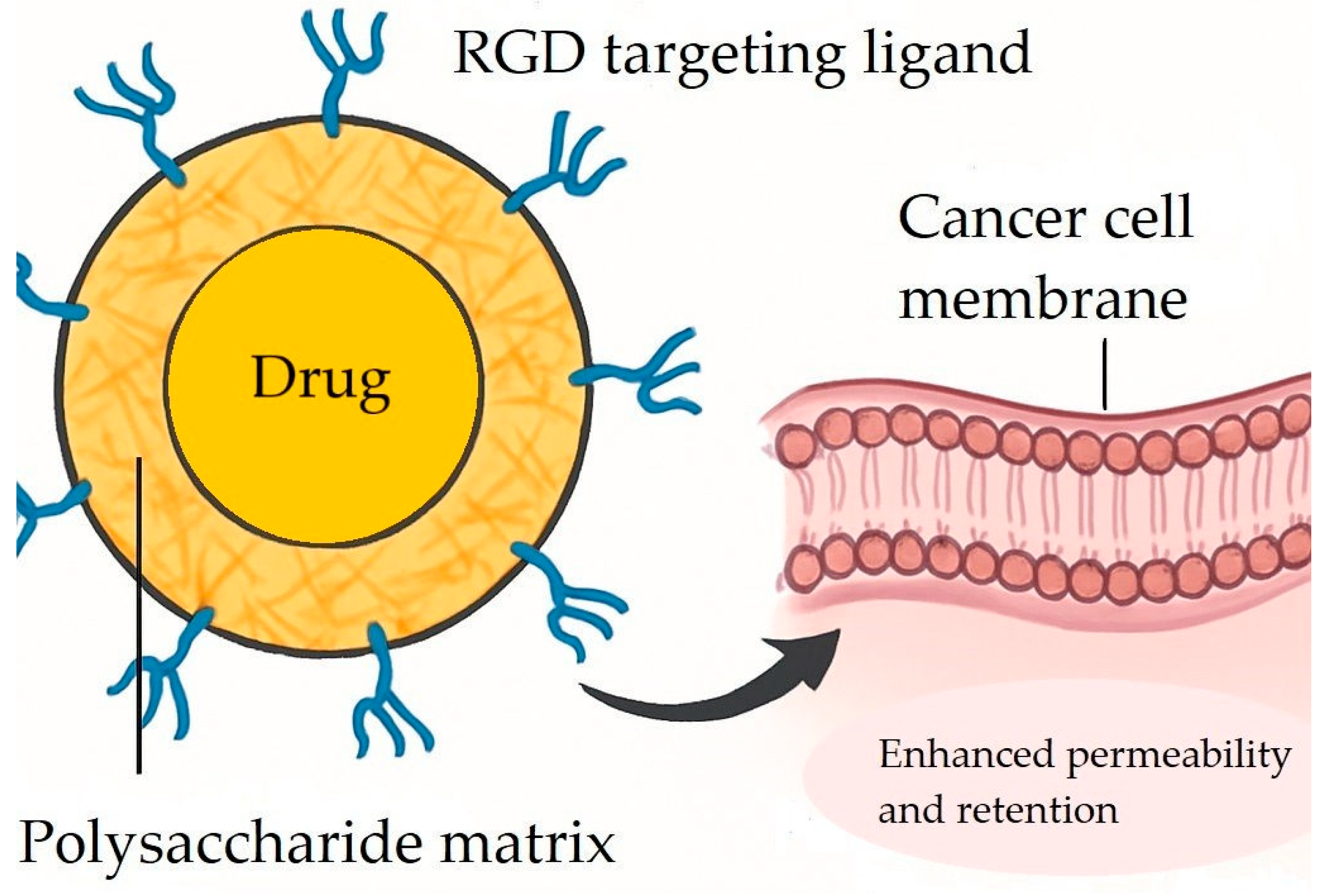 Polysaccharides 06 00108 g003 Polysaccharides 06 00108 g003