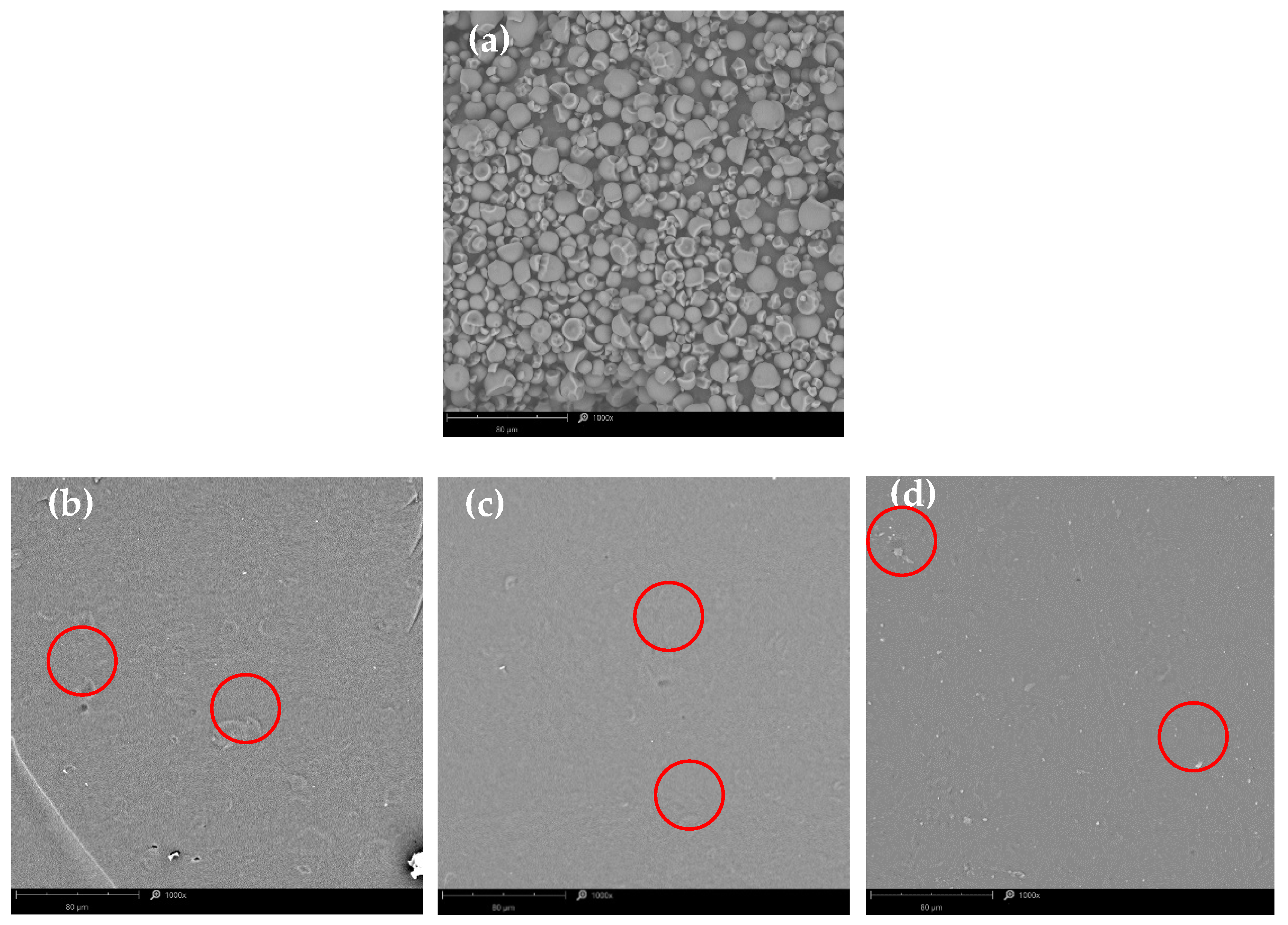 Polysaccharides 06 00112 g003a Polysaccharides 06 00112 g003a