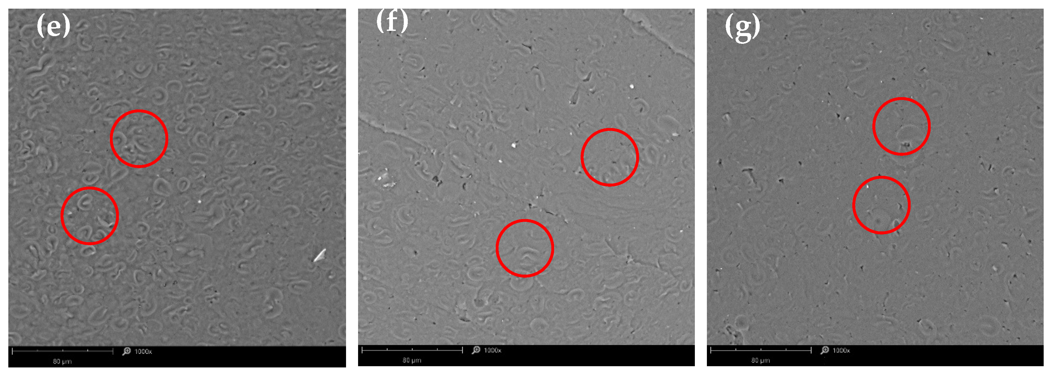 Polysaccharides 06 00112 g003b Polysaccharides 06 00112 g003b