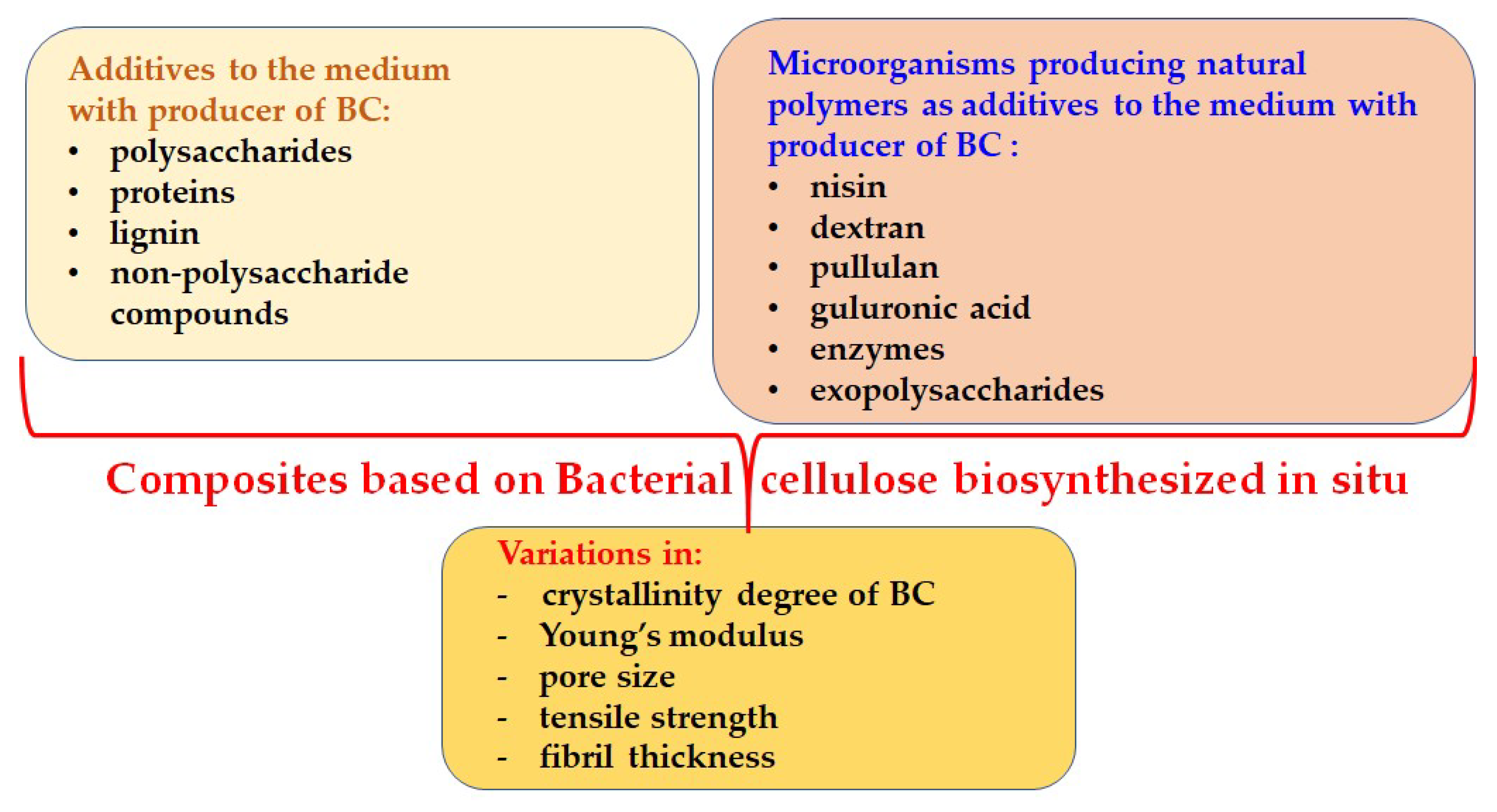 Polysaccharides 06 00114 g002