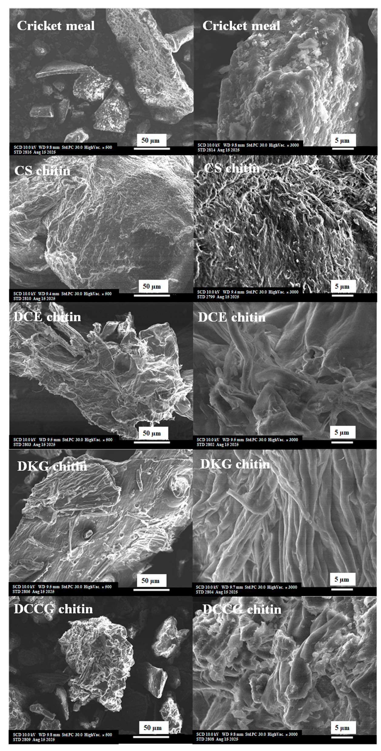 Polysaccharides 06 00115 g007 Polysaccharides 06 00115 g007