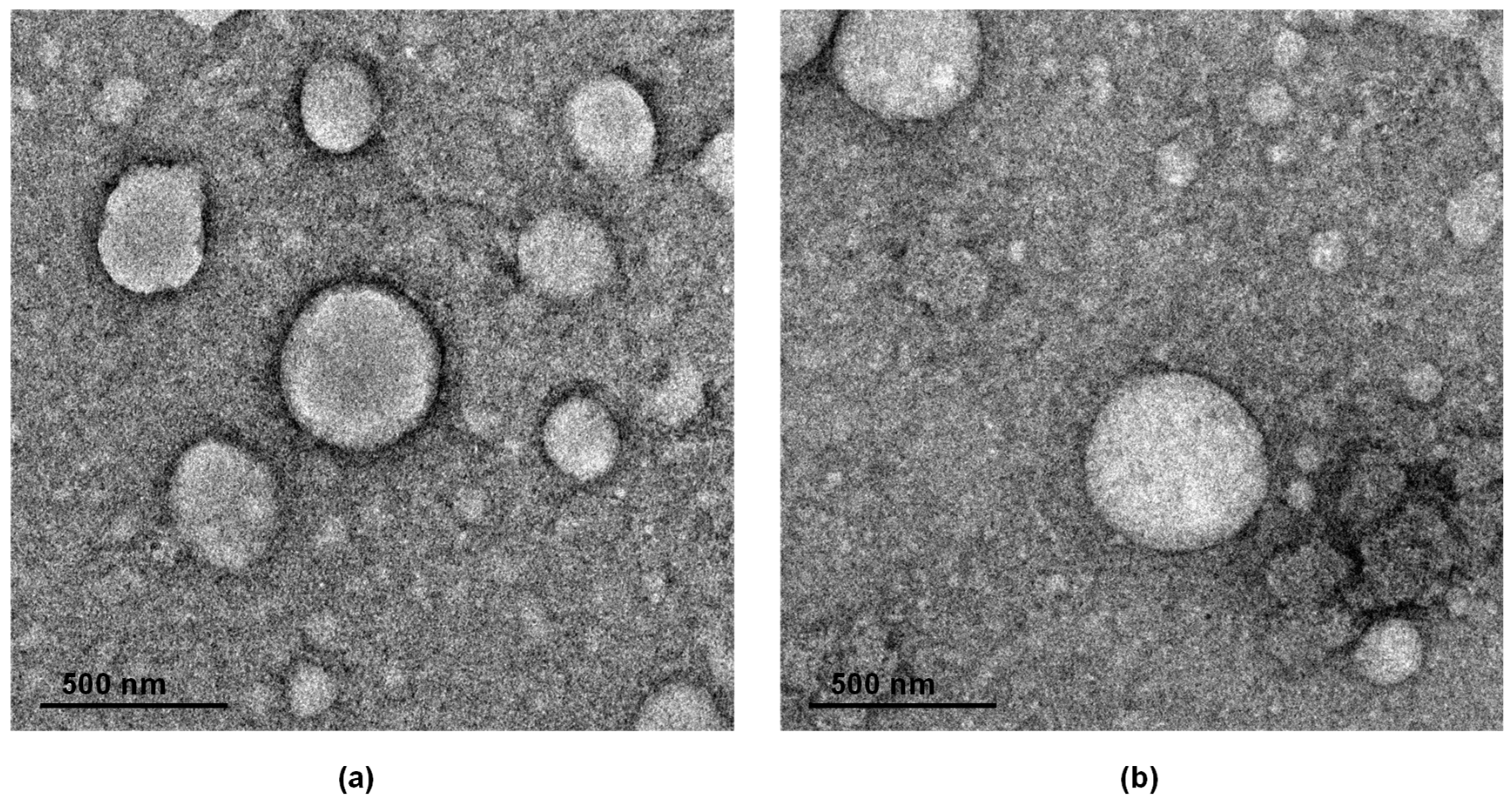 Polysaccharides 07 00003 g002