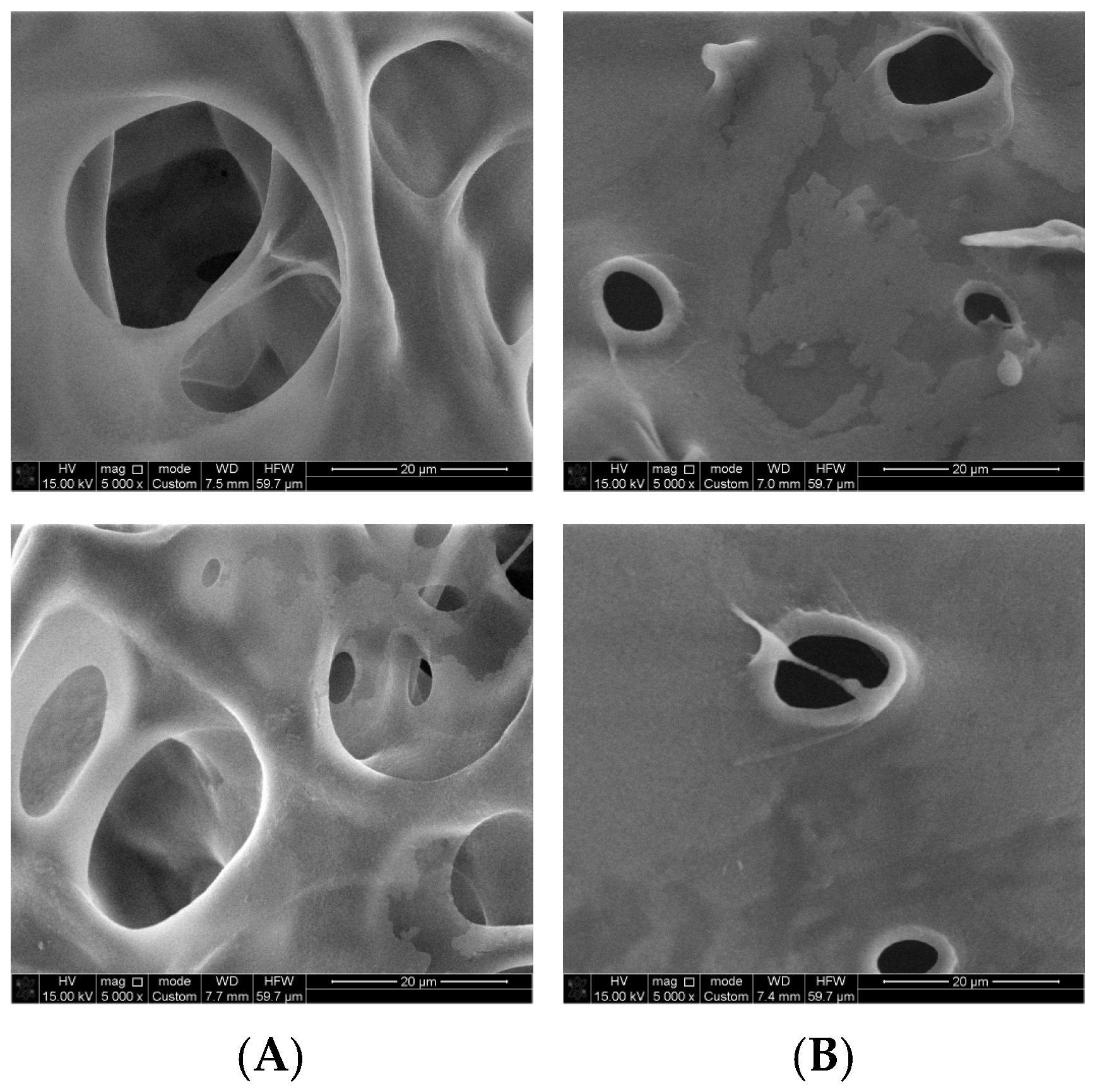 Polysaccharides 07 00007 g005