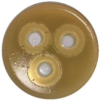 Polysaccharides 07 00007 i002