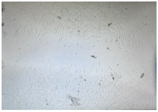 Polysaccharides 07 00007 i007