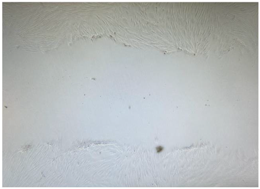 Polysaccharides 07 00007 i008
