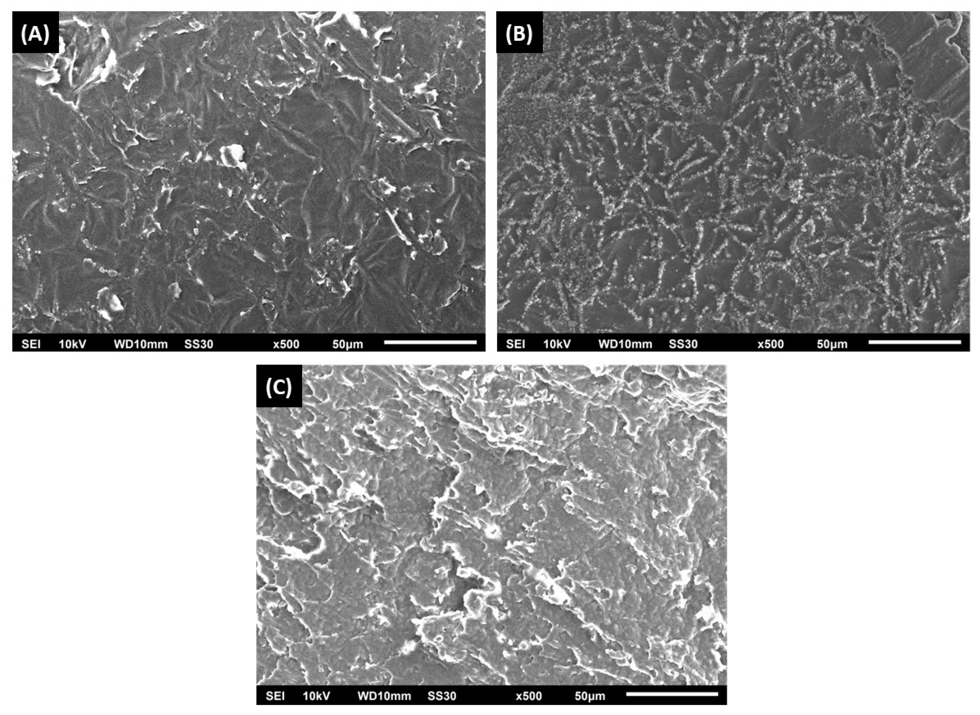 Polysaccharides 07 00018 g002