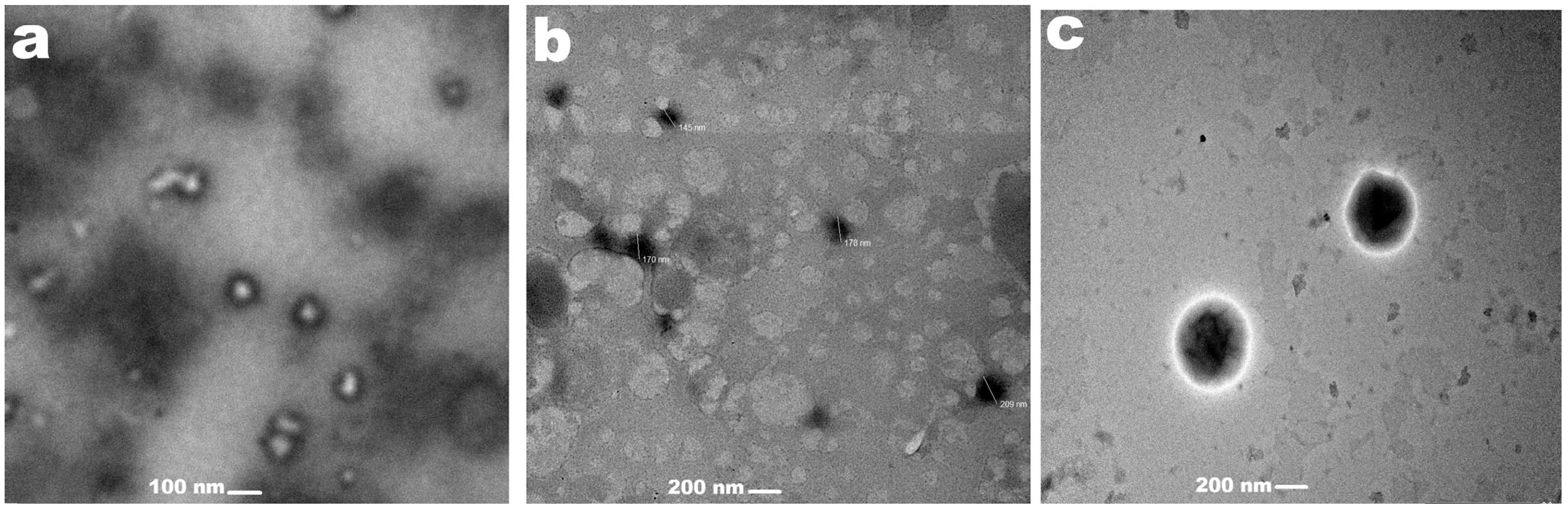 Polysaccharides 07 00078 g001 Polysaccharides 07 00078 g001