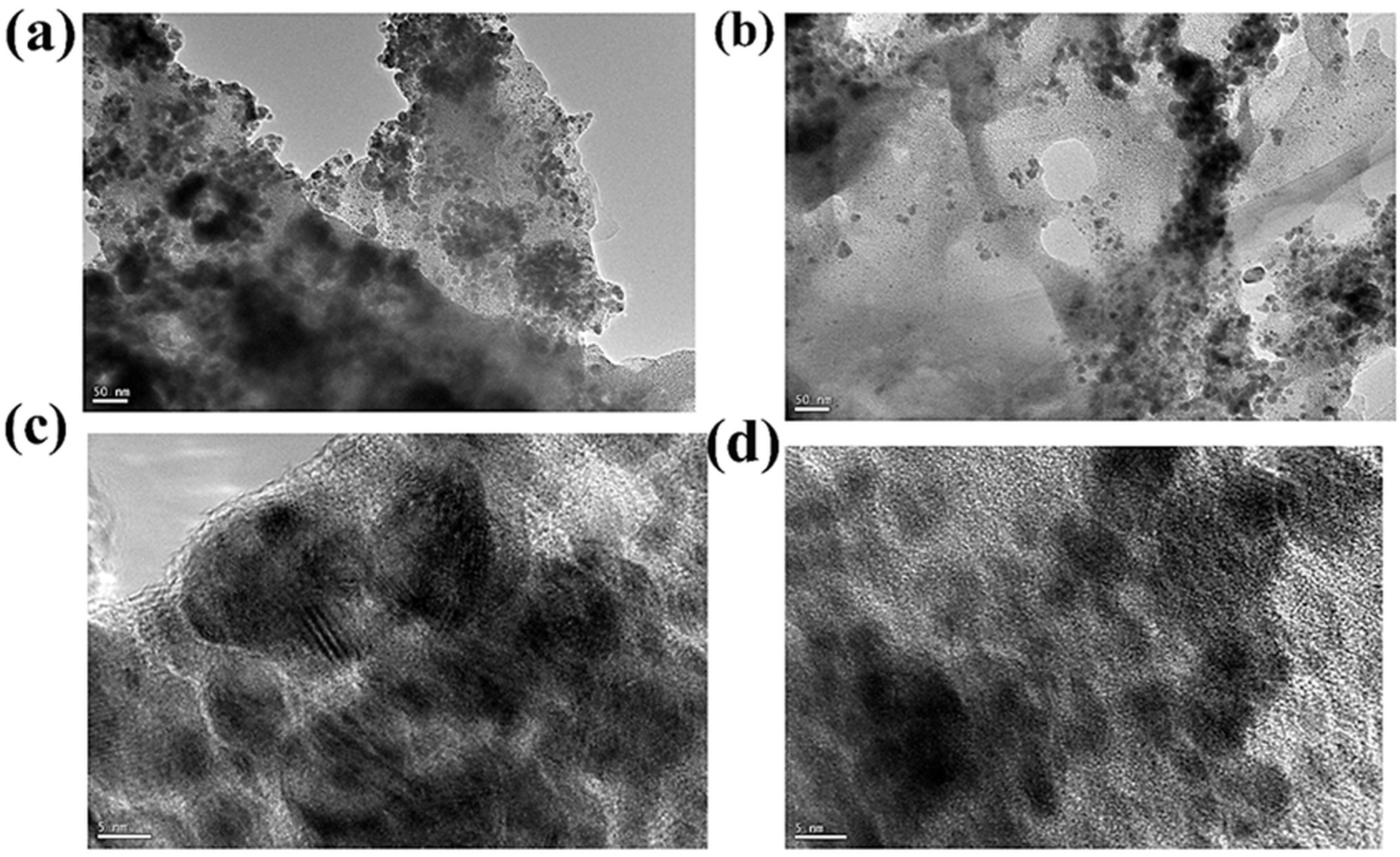 Polysaccharides 07 00105 g005