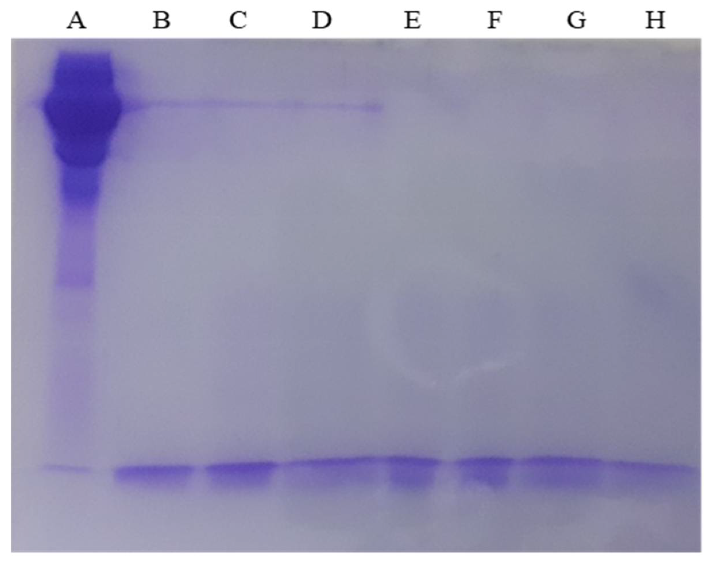 Poultry 01 00019 g001 550